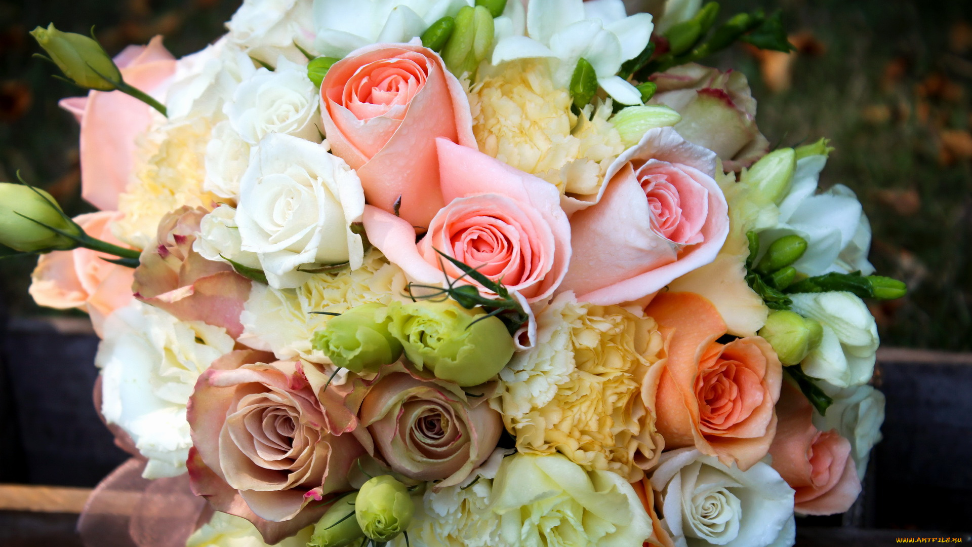 цветы, букеты, композиции, розы, букет