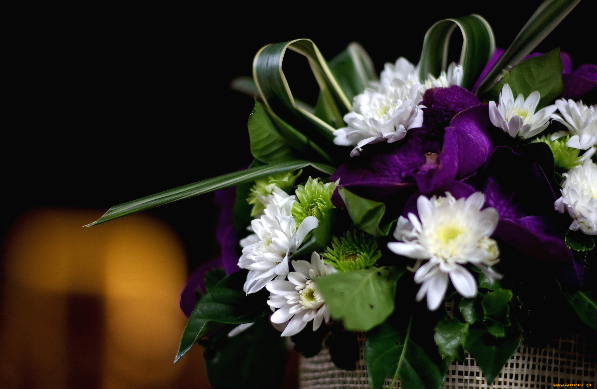 цветы, букеты, композиции, хризантемы, орхидеи