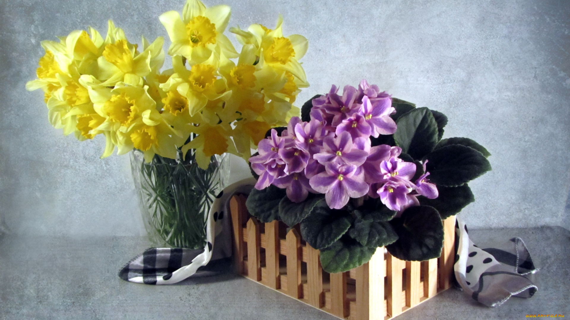 цветы, разные, вместе, фиалки, нарциссы