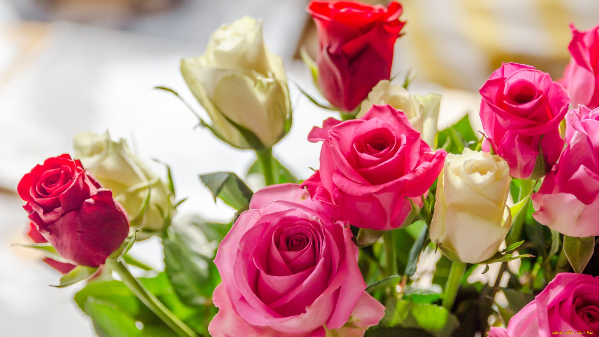 цветы, розы, букет