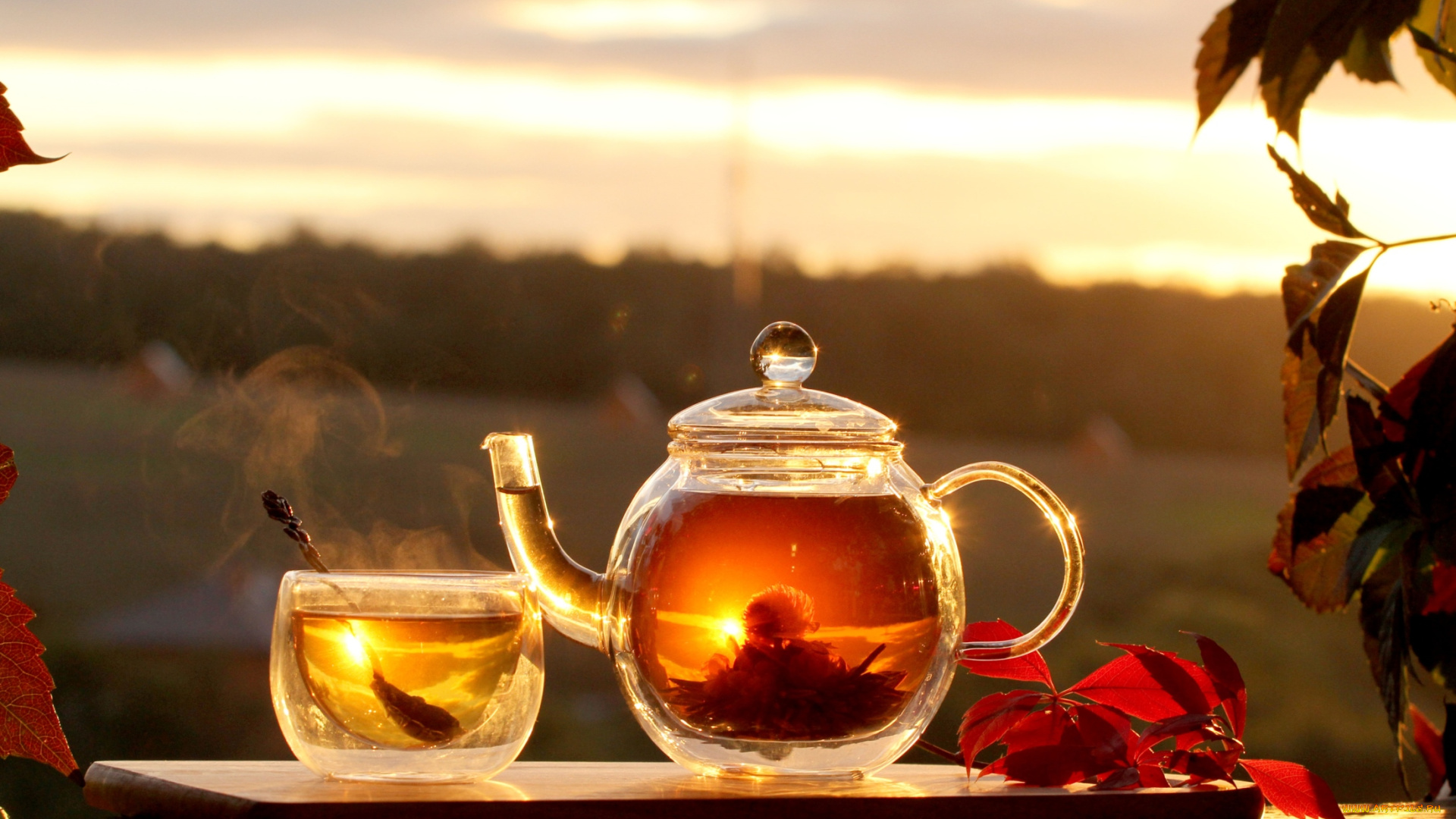еда, напитки, Чай, закат, заварник