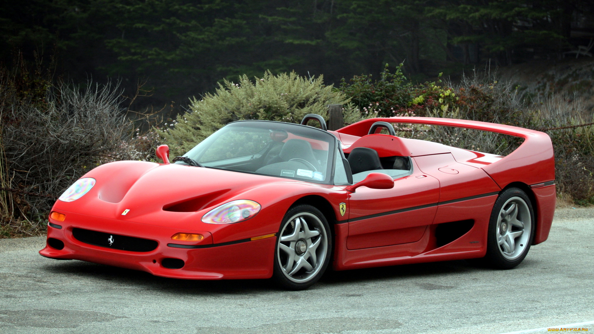 ferrari, f50, автомобили, италия, спортивные, гоночные, s, p, a