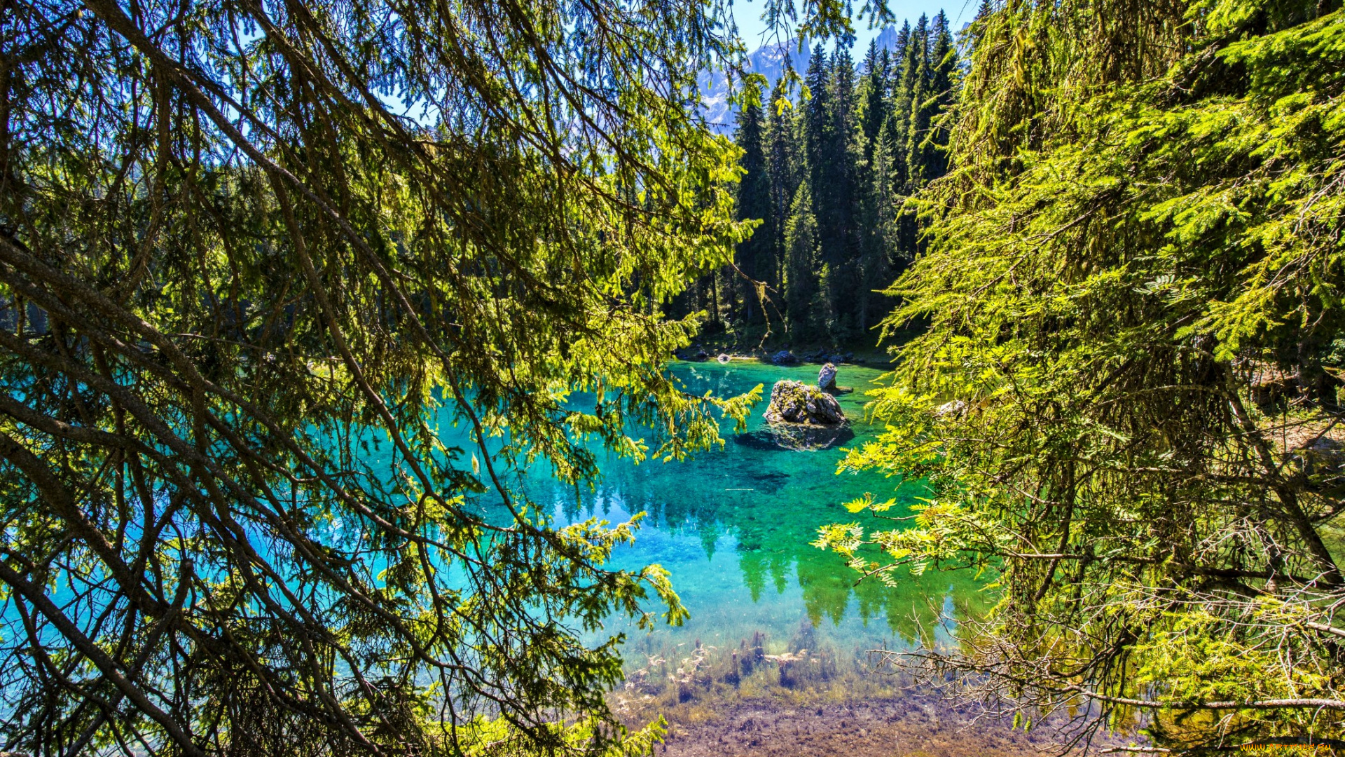 природа, реки, озера, ели, лес, камни, озеро