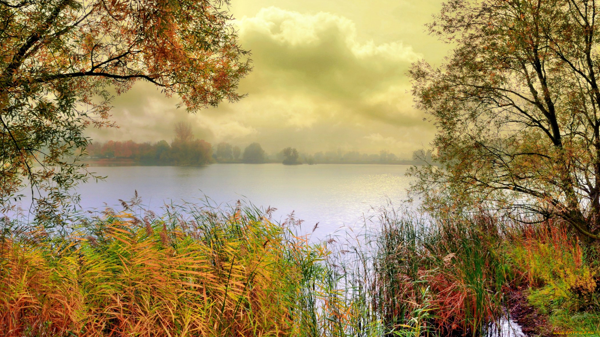 природа, реки, озера, камыш, осень, лес, озеро, дымка