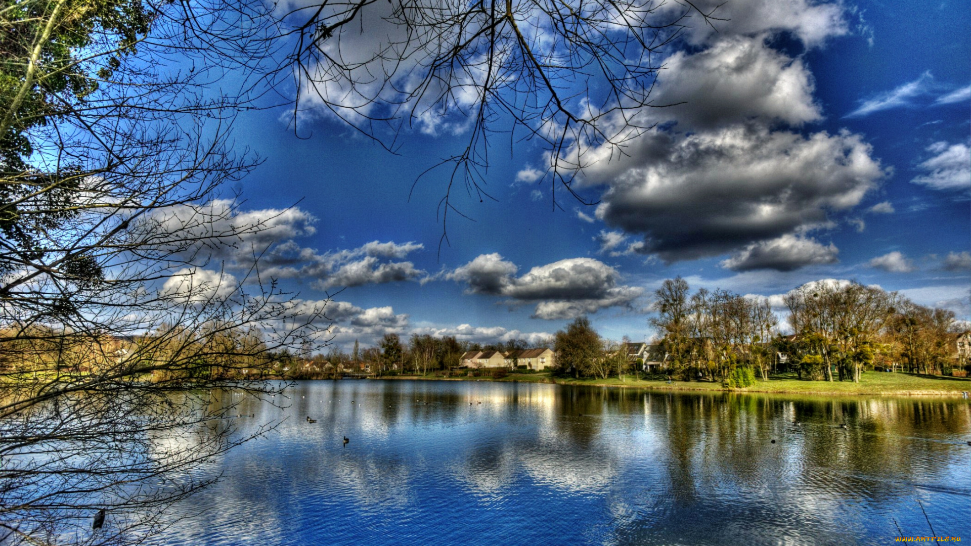 природа, реки, озера, трава, река, деревья, облака