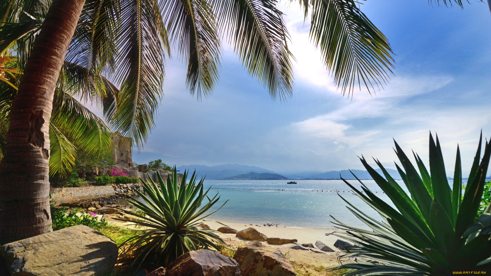 природа, тропики, пальма, море, пляж, рай