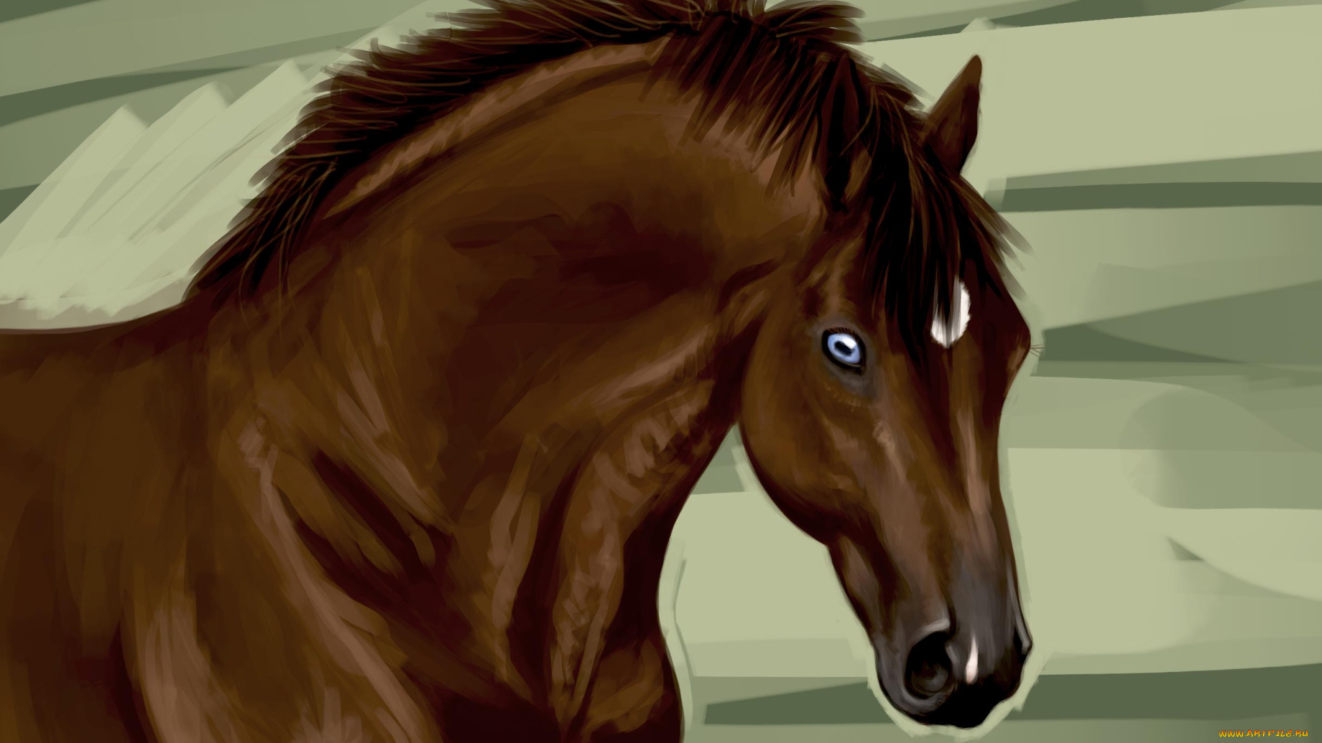 рисованные, животные, лошади, лошадь