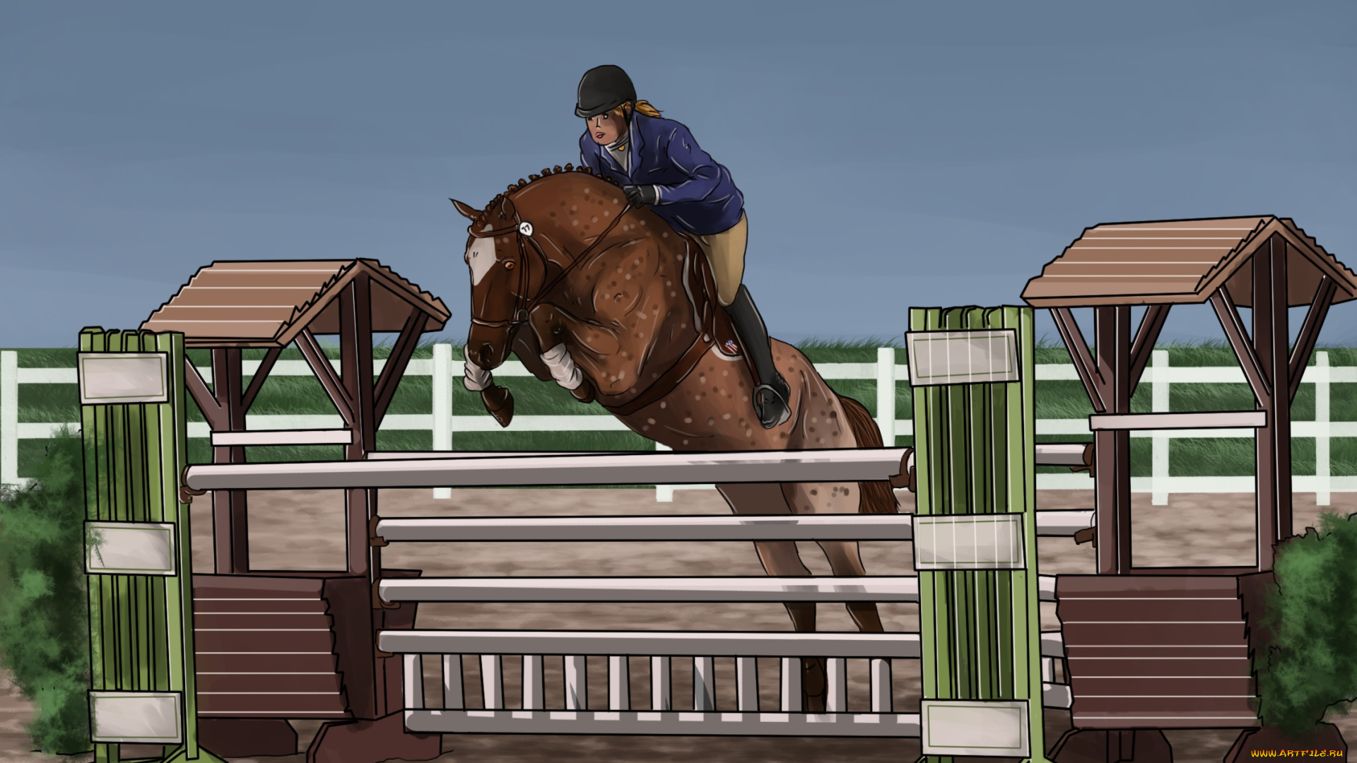 рисованные, животные, лошади, прыжок, препятствия, всадник