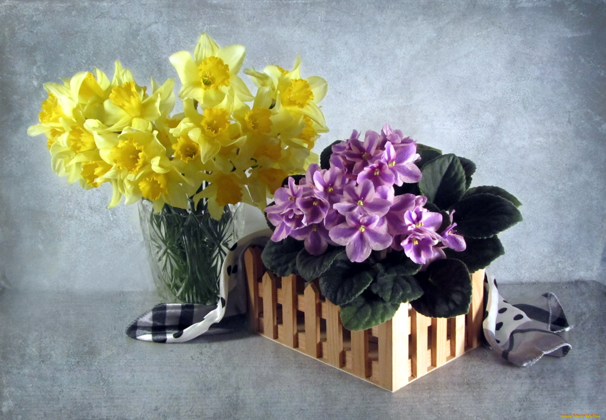 цветы, разные, вместе, фиалки, нарциссы