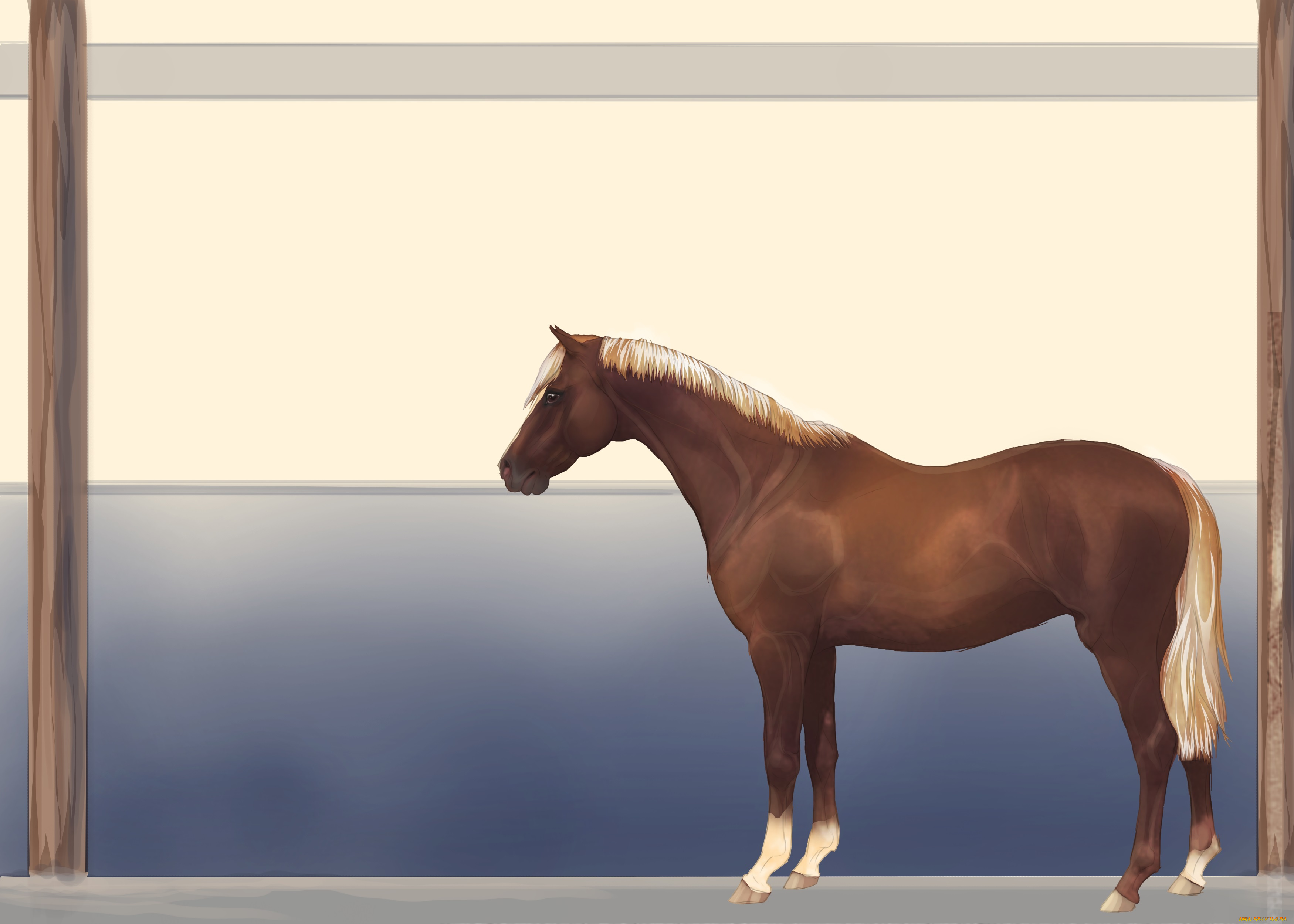 рисованные, животные, лошади, лошадь