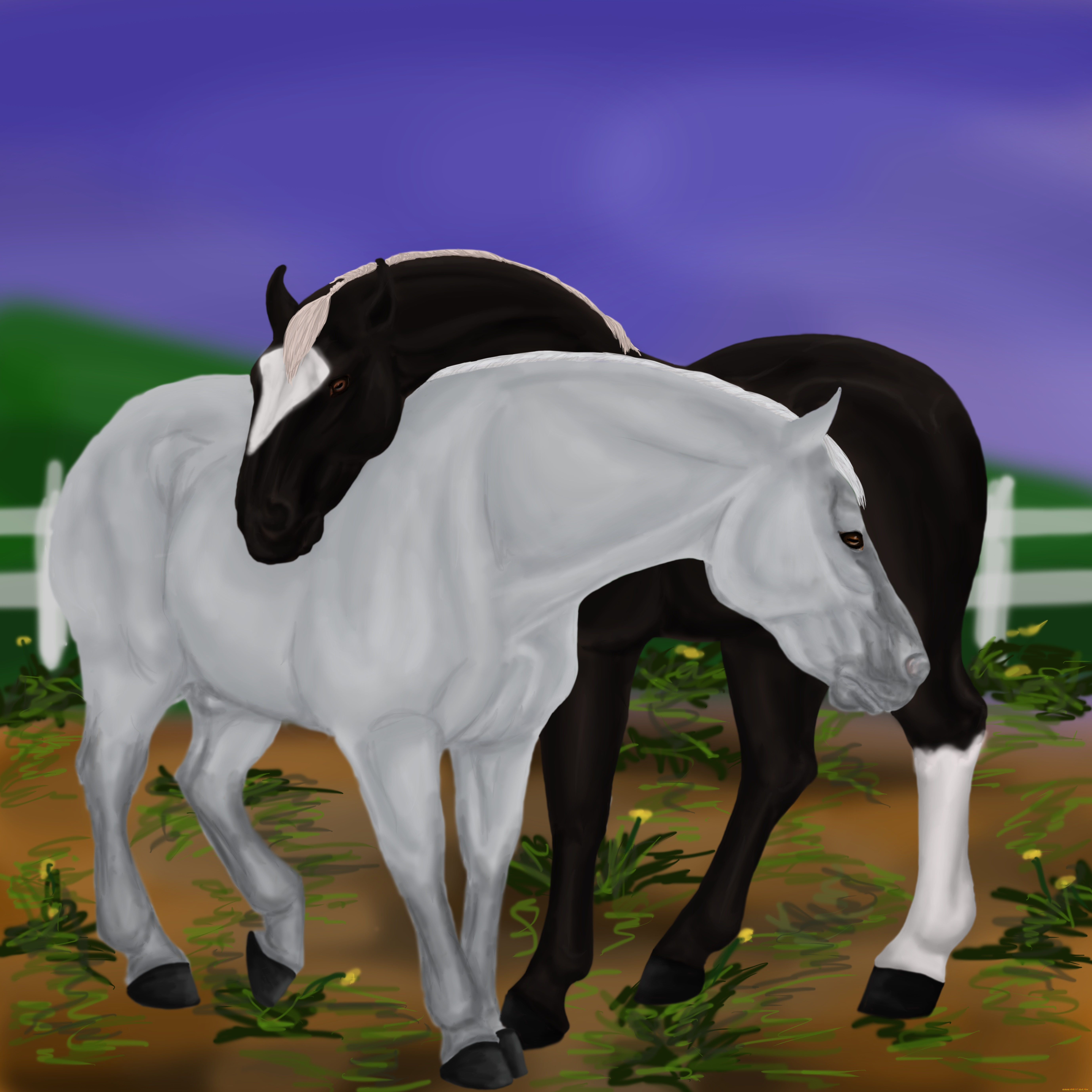 рисованные, животные, лошади