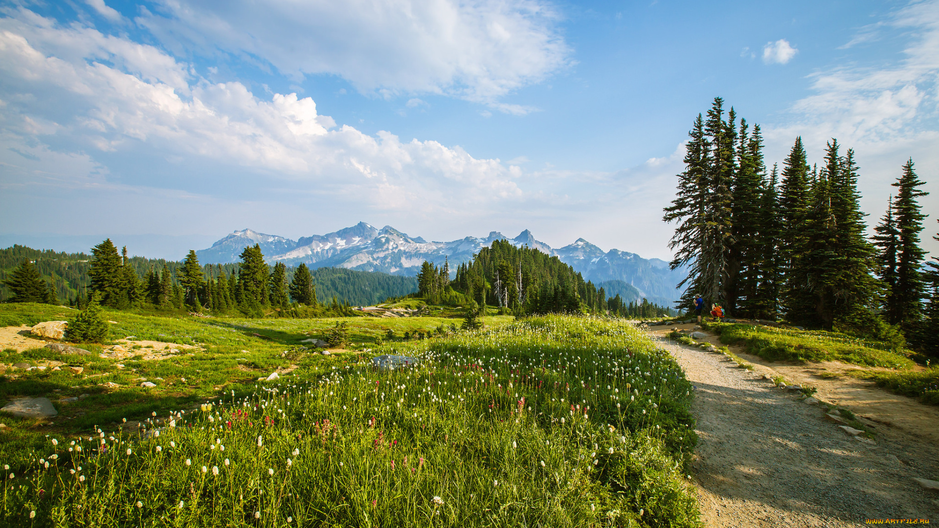 природа, дороги, дорога, лес, горы, поле