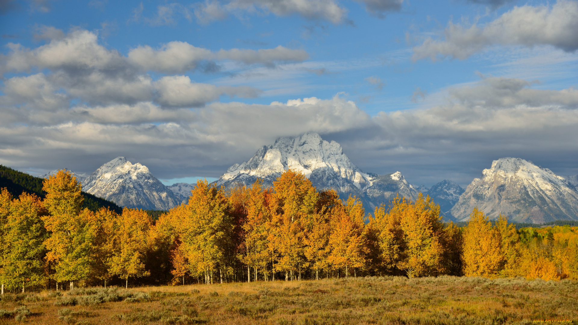 природа, горы, деревья, осень, время, года