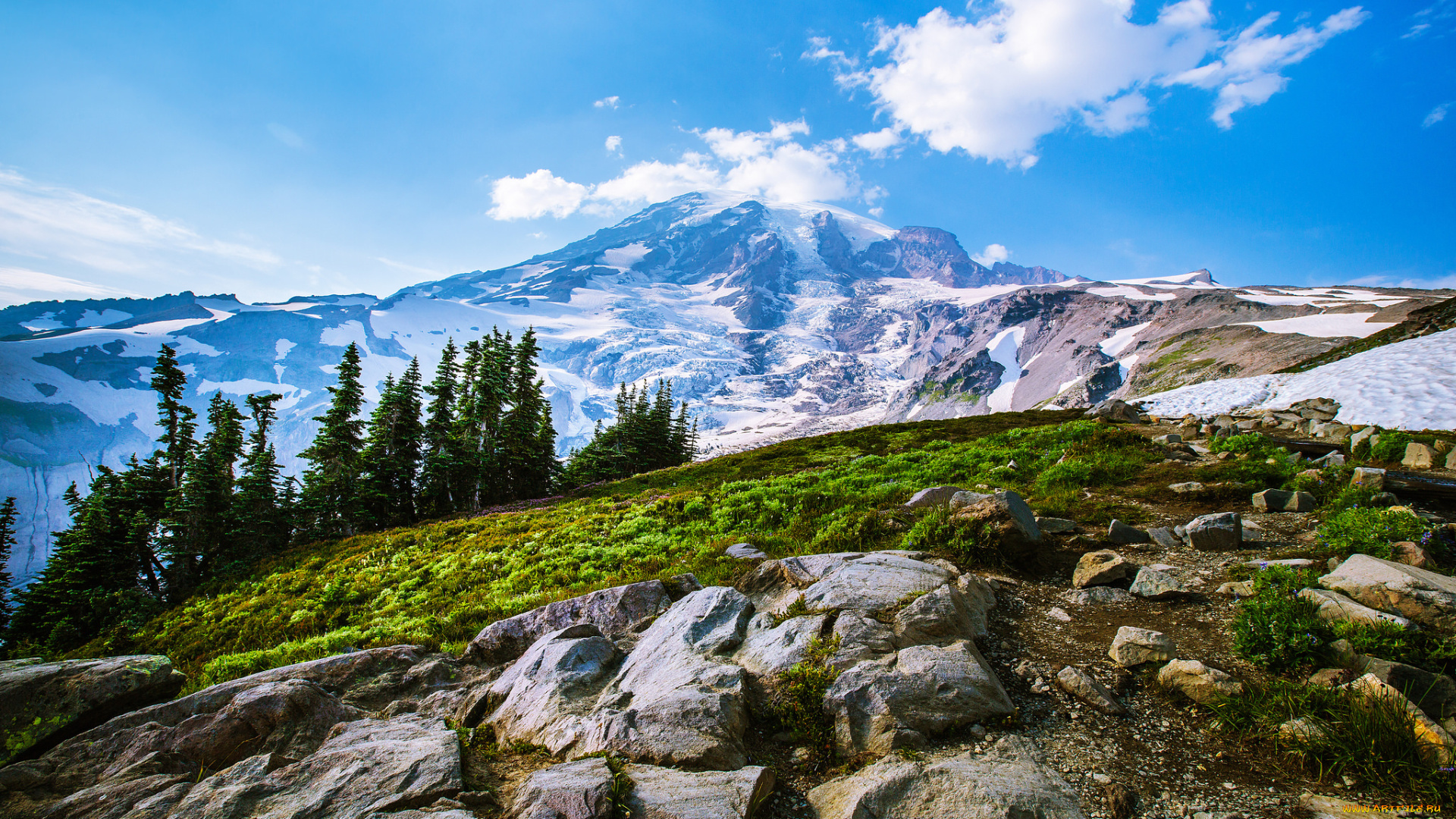 природа, горы, лес