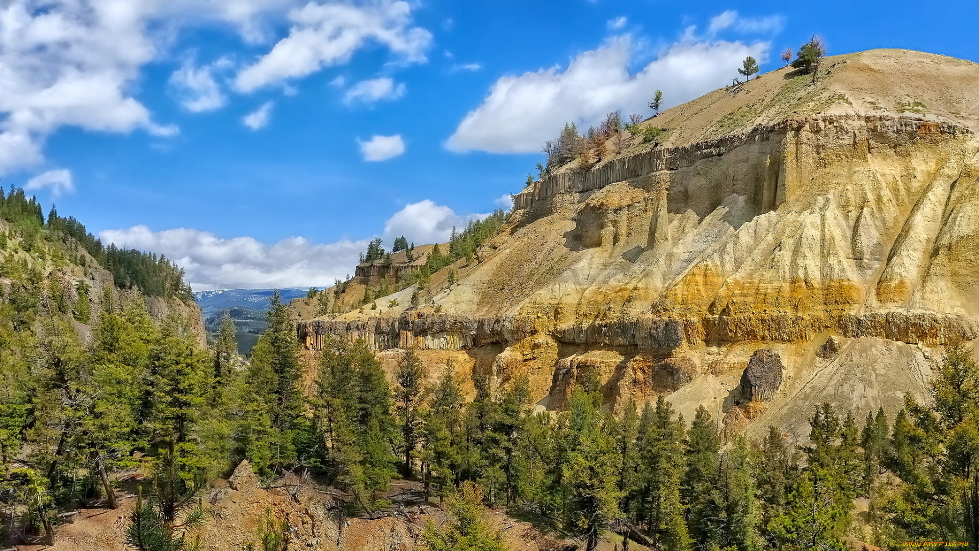 природа, горы, облака, лес