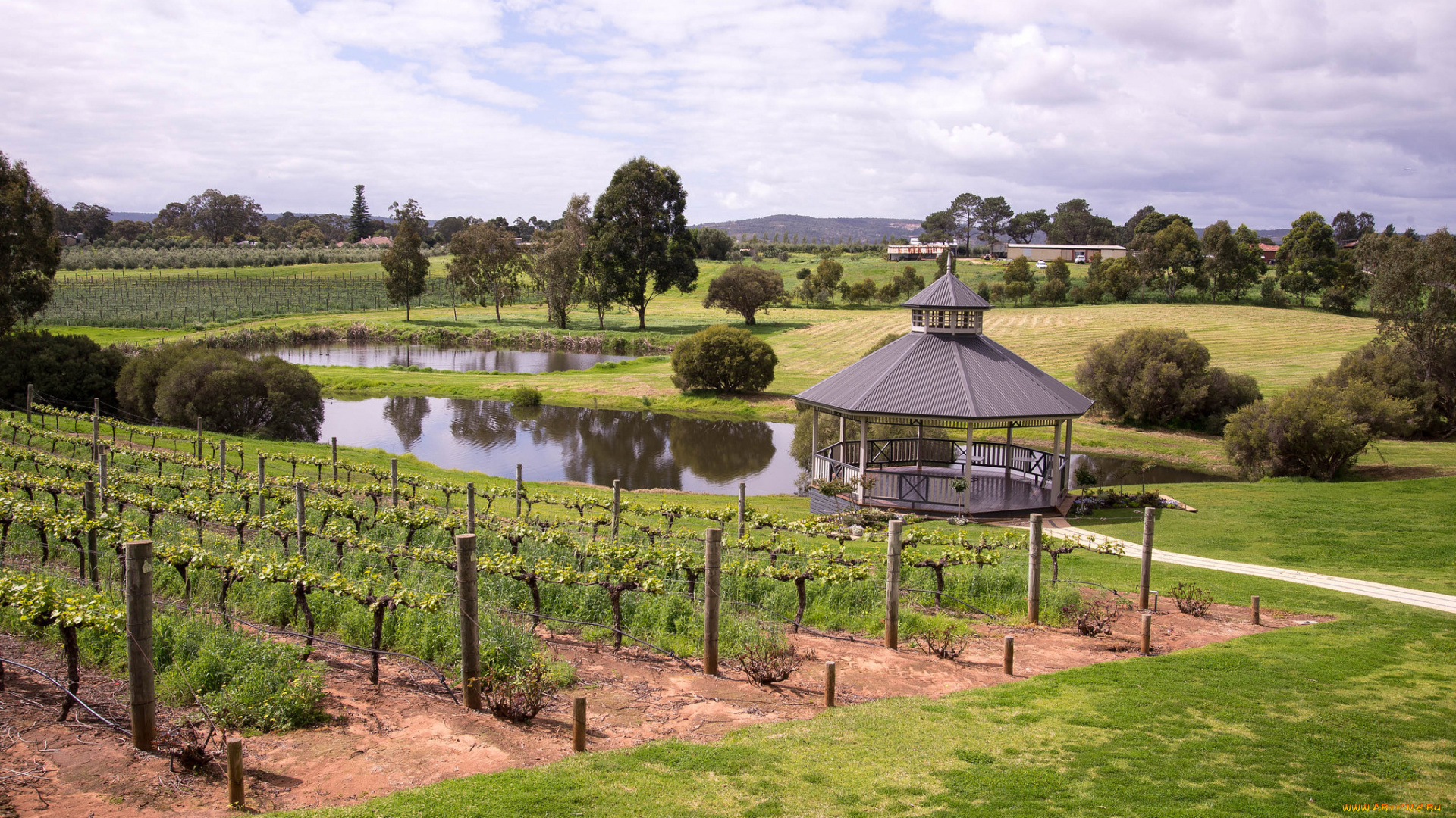 природа, поля, пейзаж, озеро, беседка, виноградник, небо