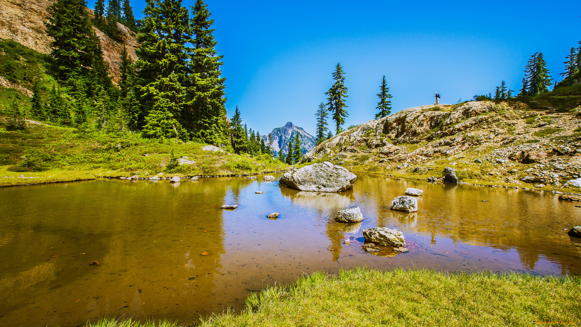 природа, реки, озера, горы, река, лес