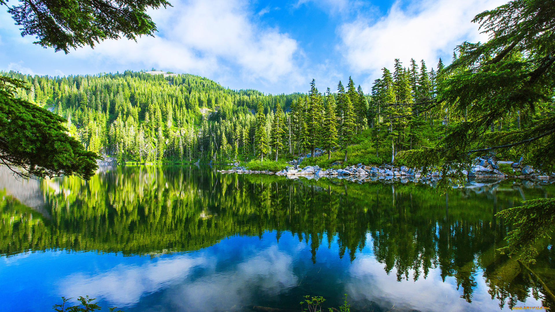 природа, реки, озера, лес, река, горы