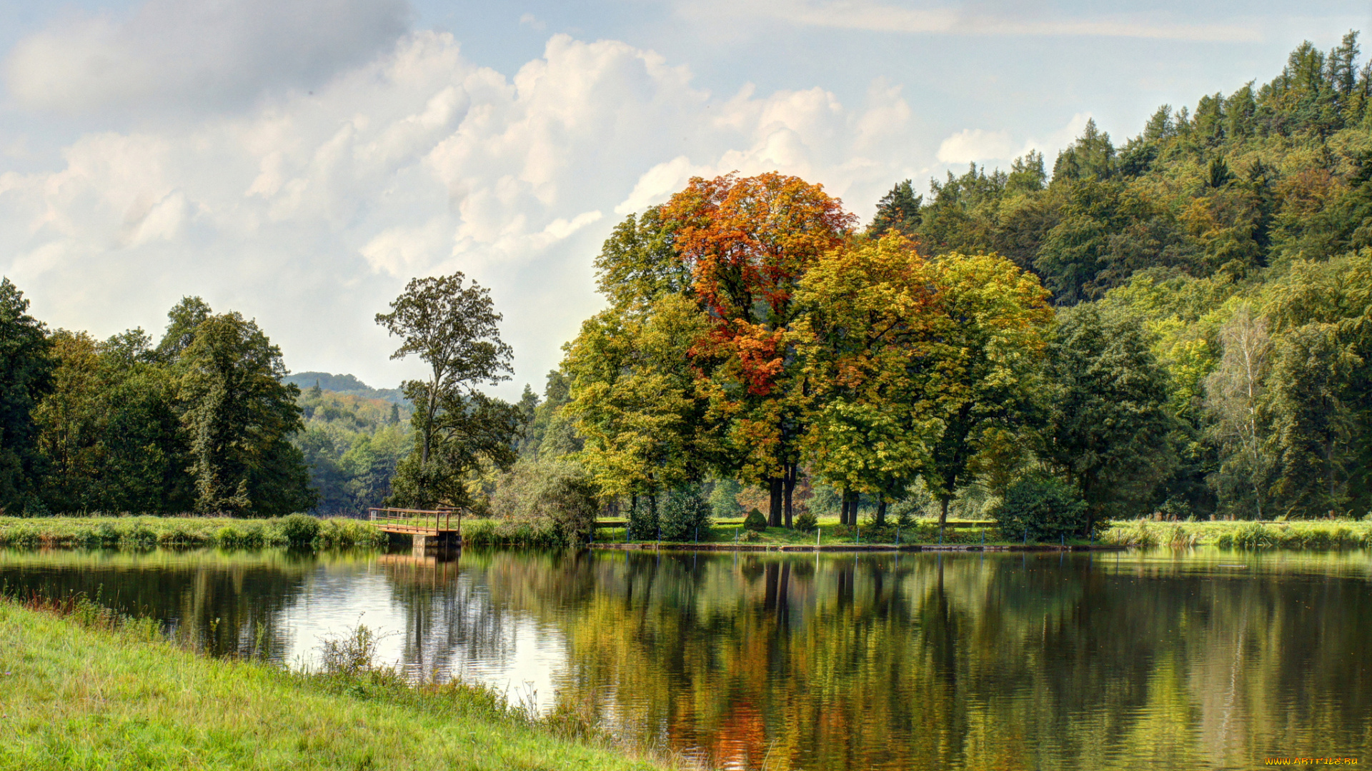 природа, реки, озера, мостик, река, лес, осень