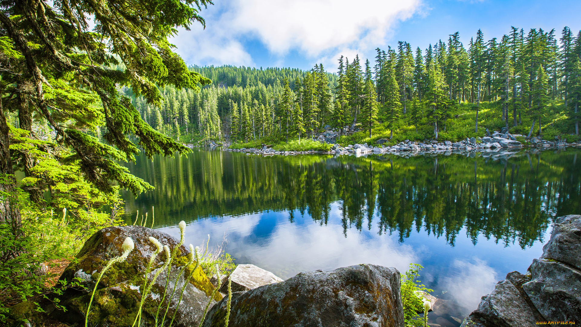 природа, реки, озера, облака, река, лес