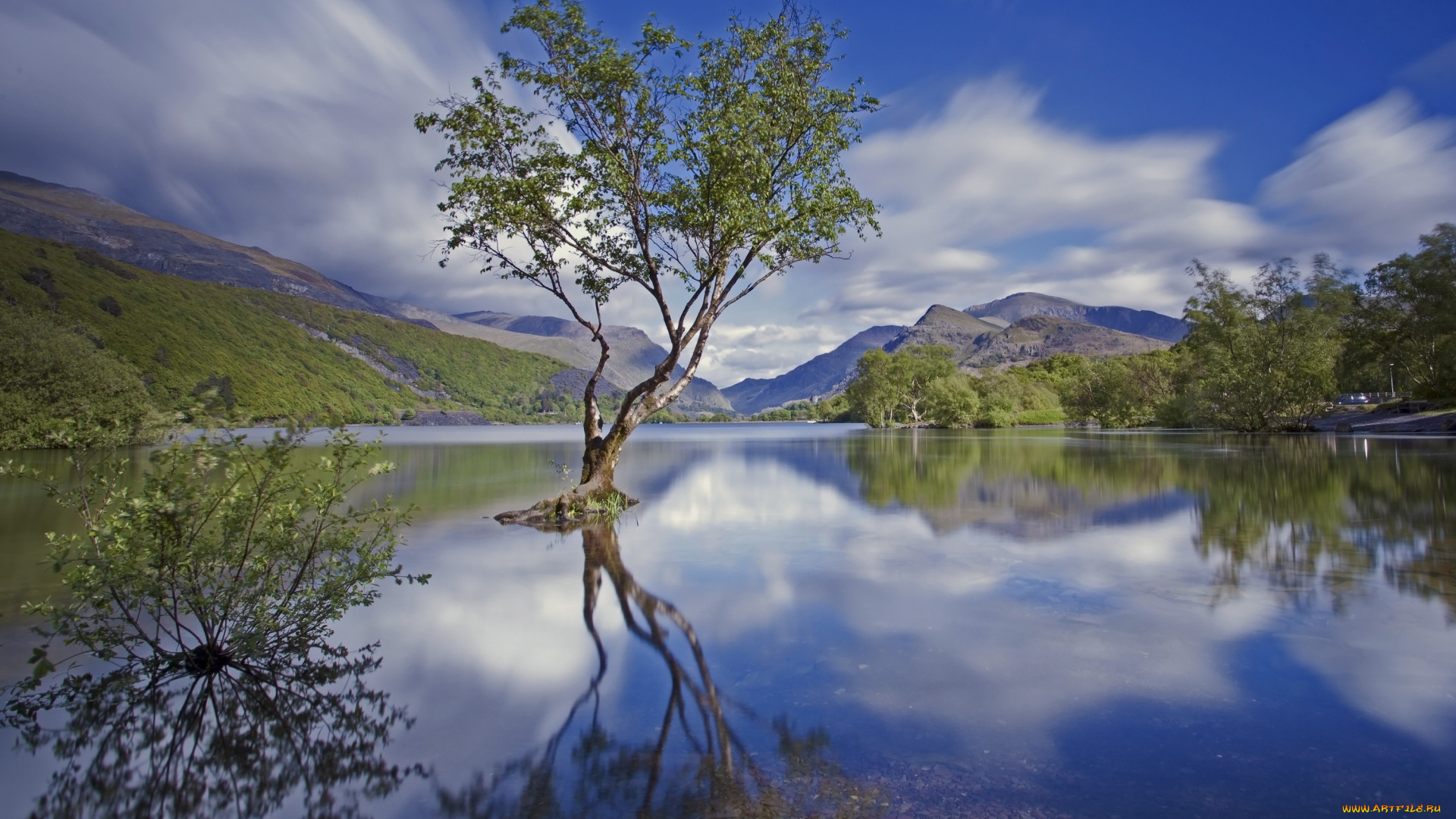природа, реки, озера, сноудония, северный, уэльс, англия, национальный, парк, горы, озеро, дерево