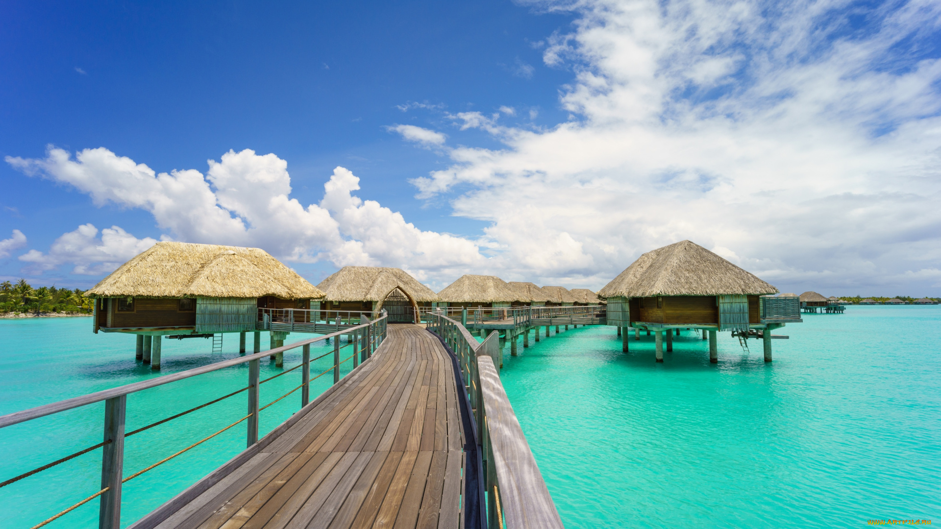 природа, тропики, море, мостик, домики, песок, солнышко, пальмы, пляж