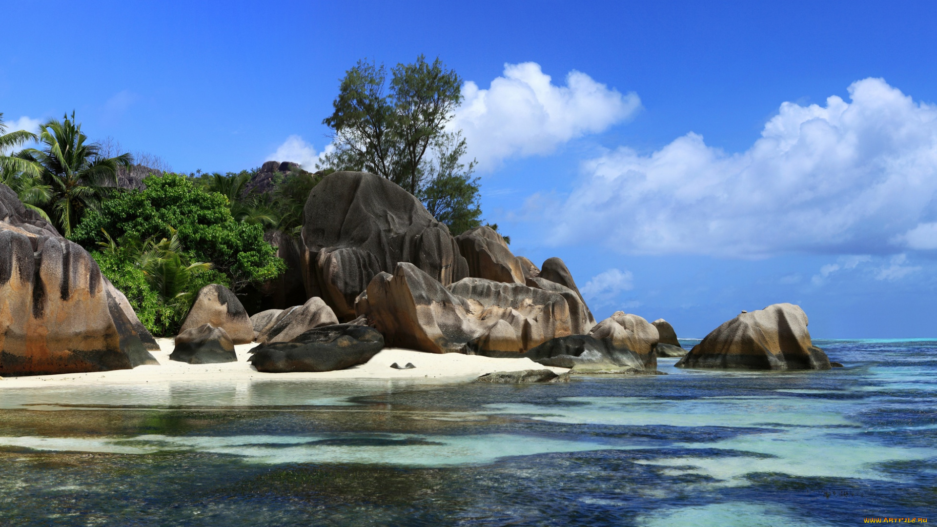 природа, тропики, море, солнышко, песок, пальмы, пляж