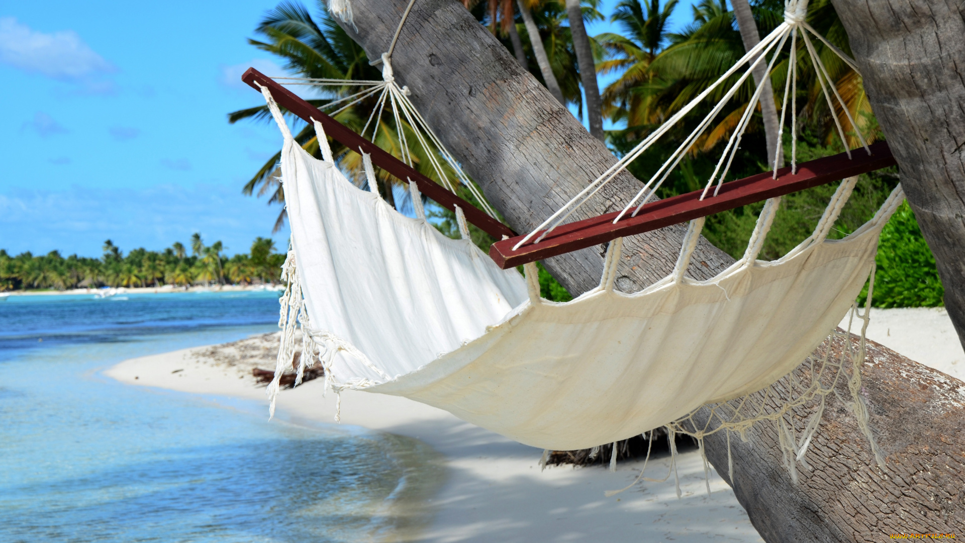 природа, тропики, песок, солнышко, пальмы, пляж, море