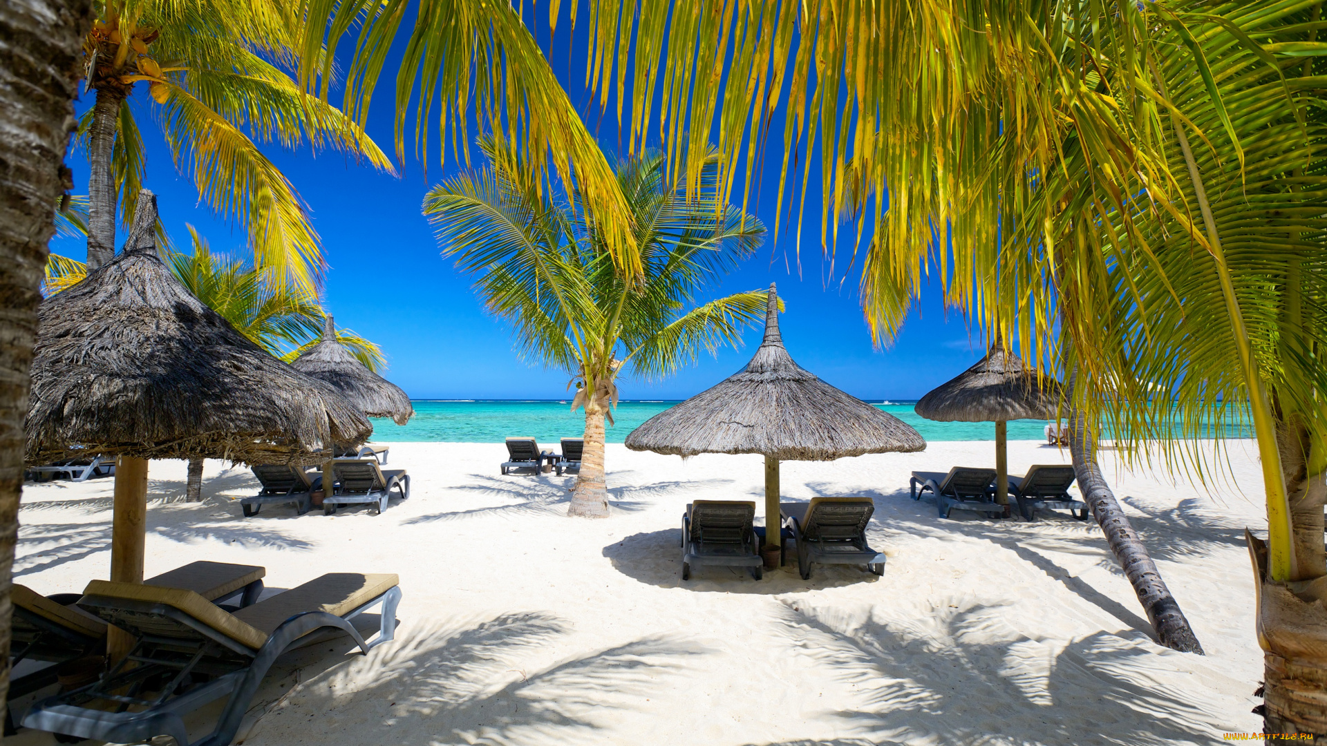 природа, тропики, пляж, солнышко, море, песок, пальмы