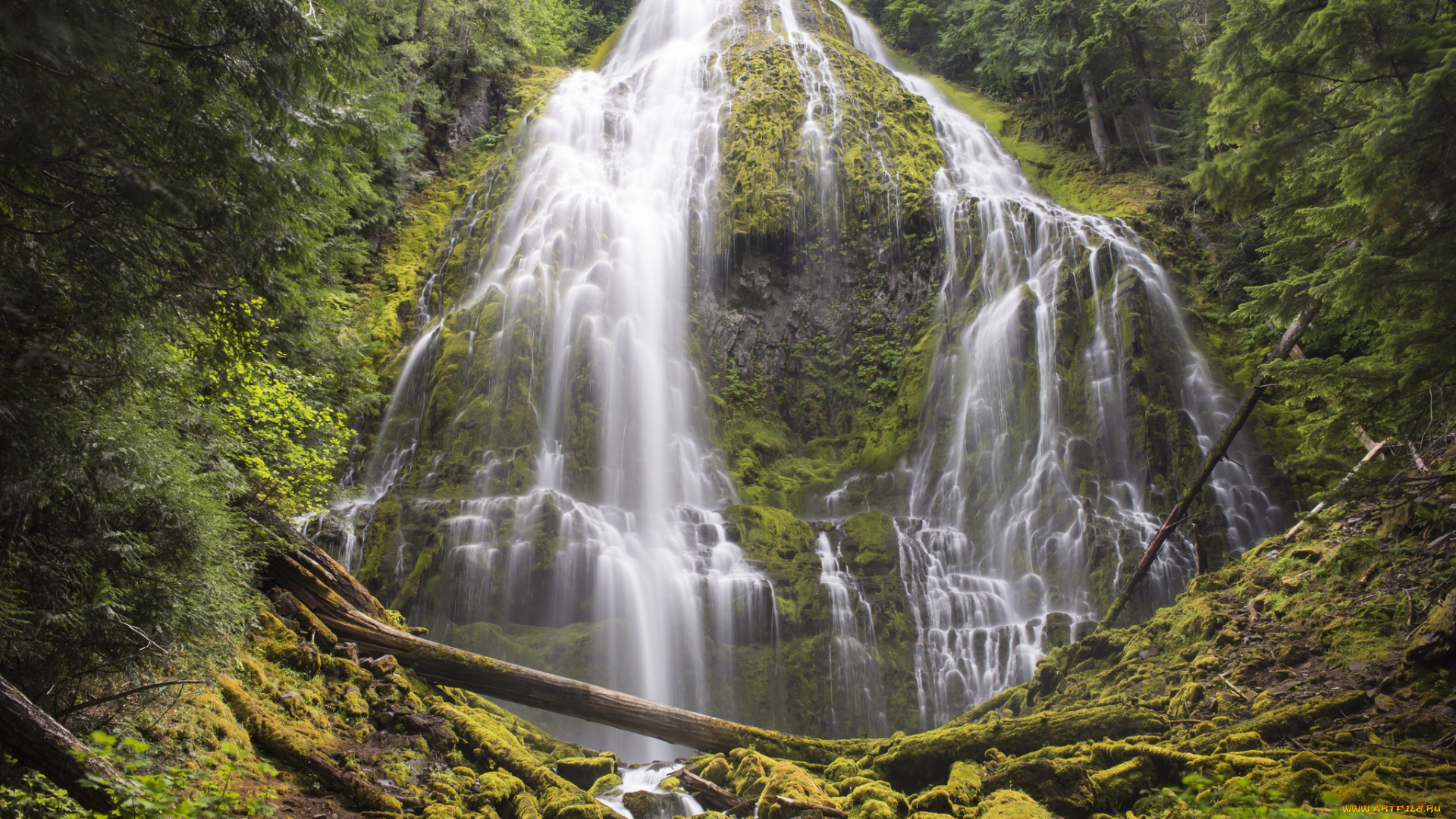 природа, водопады, водопад, лес, река