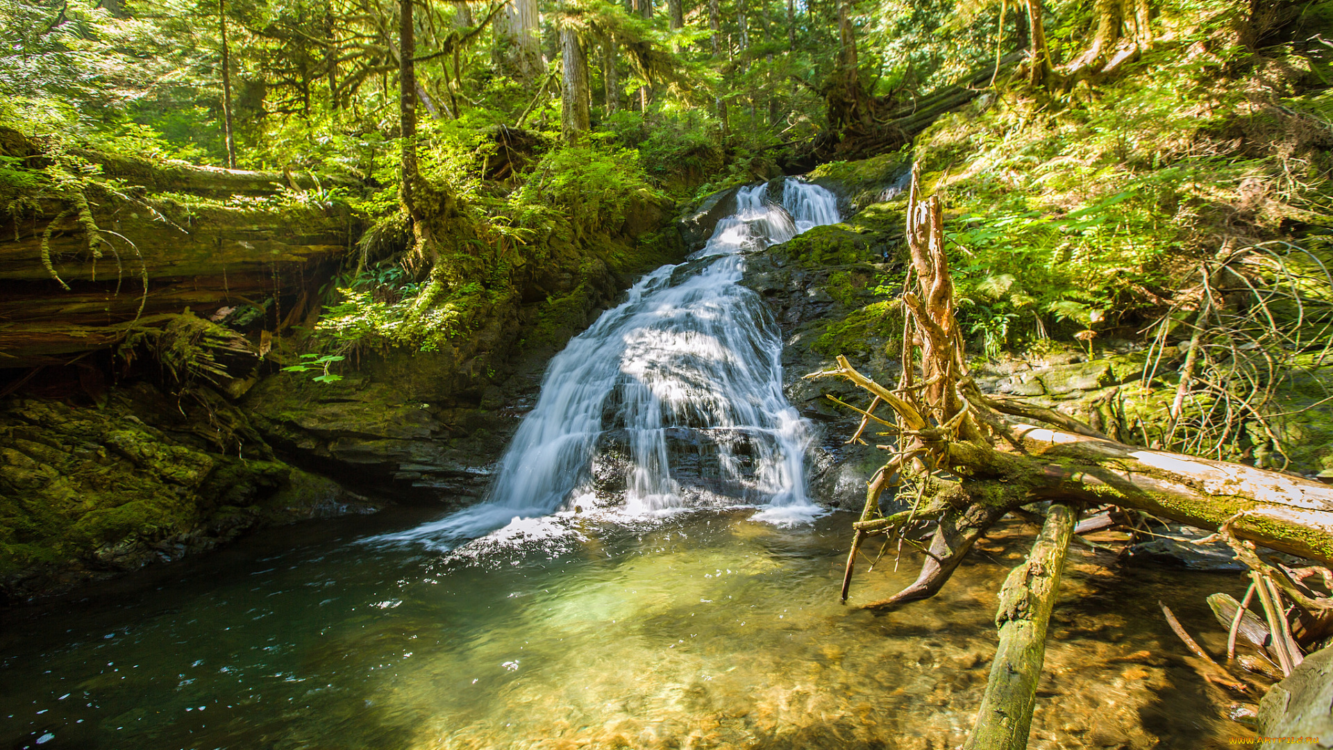 природа, водопады, водопад, река, лес
