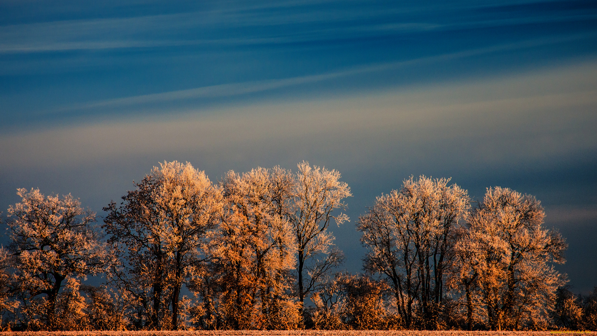 природа, зима, поле, деревья, иней, небо