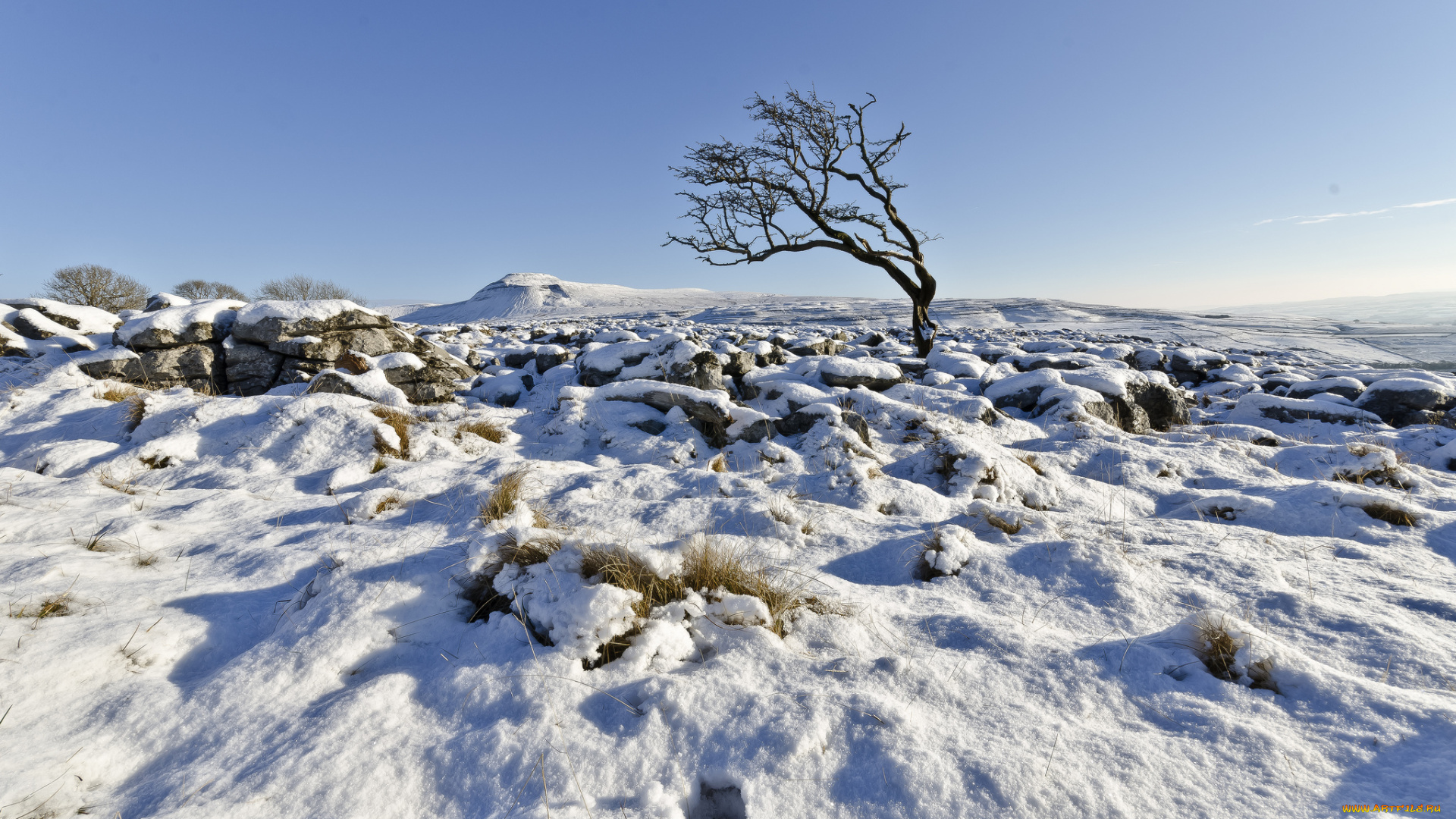 природа, зима, великобритания, дерево, снег, ingleton, северный, йоркшир, англия, john, ormerod, photography, небо