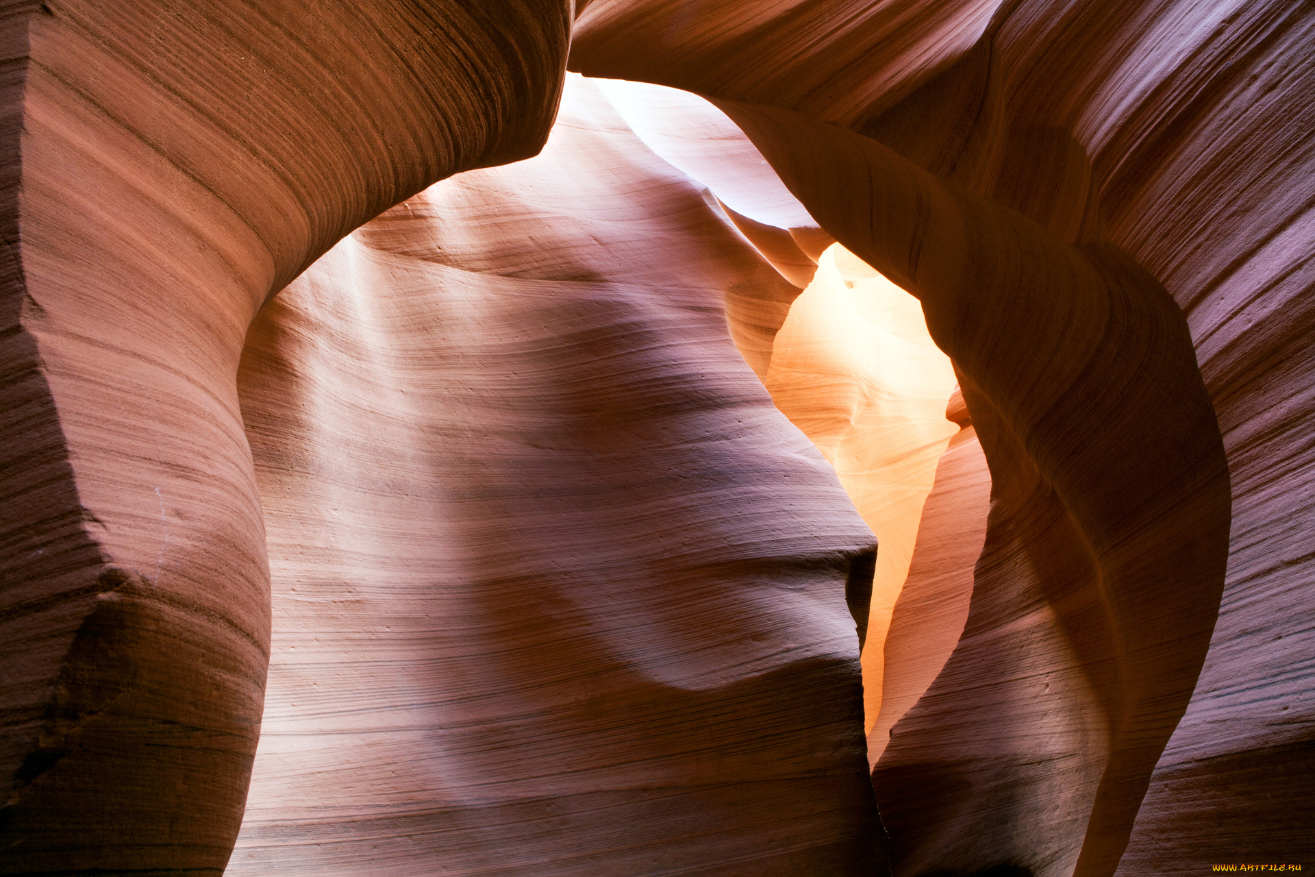 природа, горы, сша, каньон, антилопы, аризона, текстура, скалы, antelope, canyon, bryant, scannell, photography