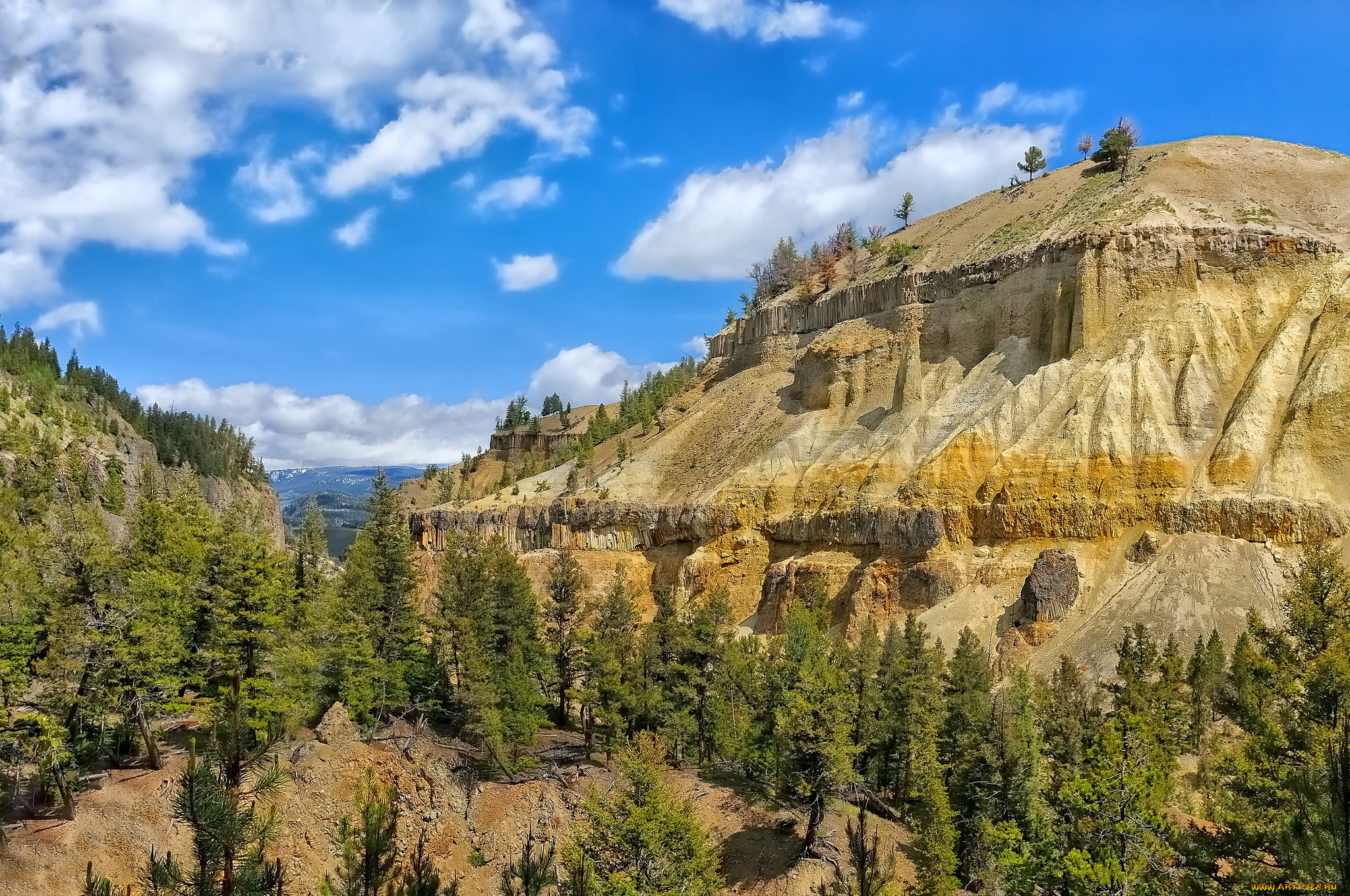 природа, горы, облака, лес