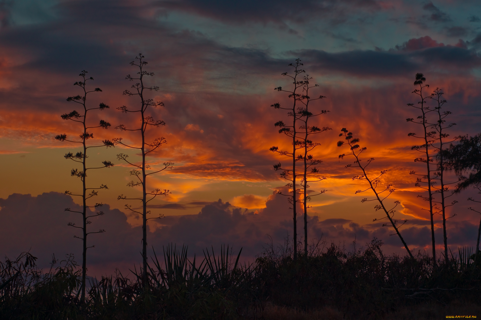 природа, восходы, закаты, закат, небо, kauai, кауаи, гаваи, гавайских, островов
