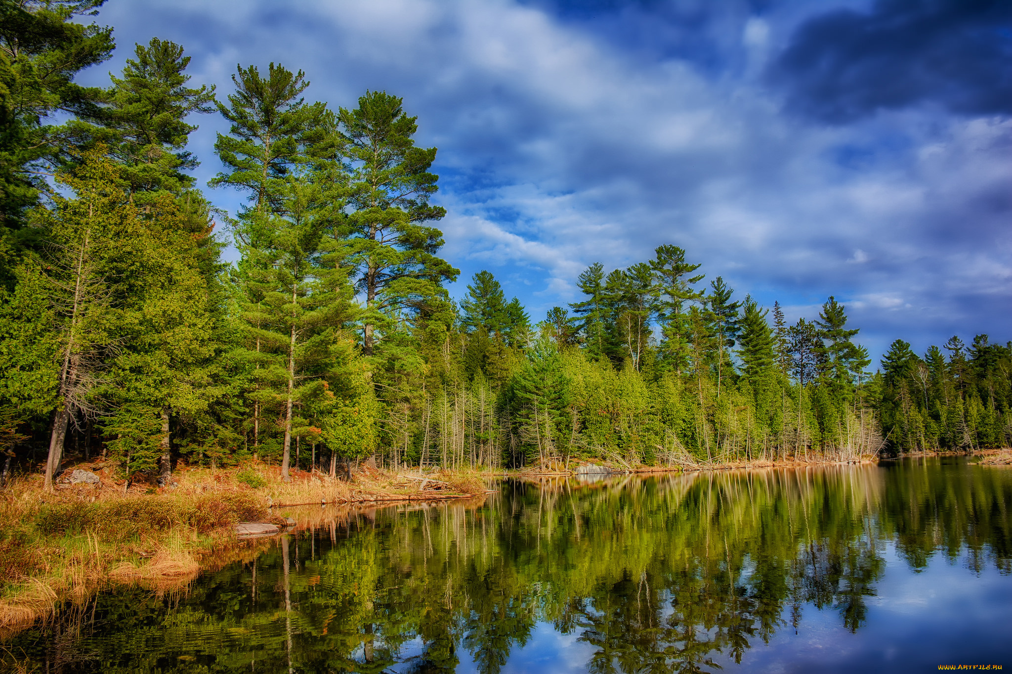 природа, реки, озера, облака, река, лес