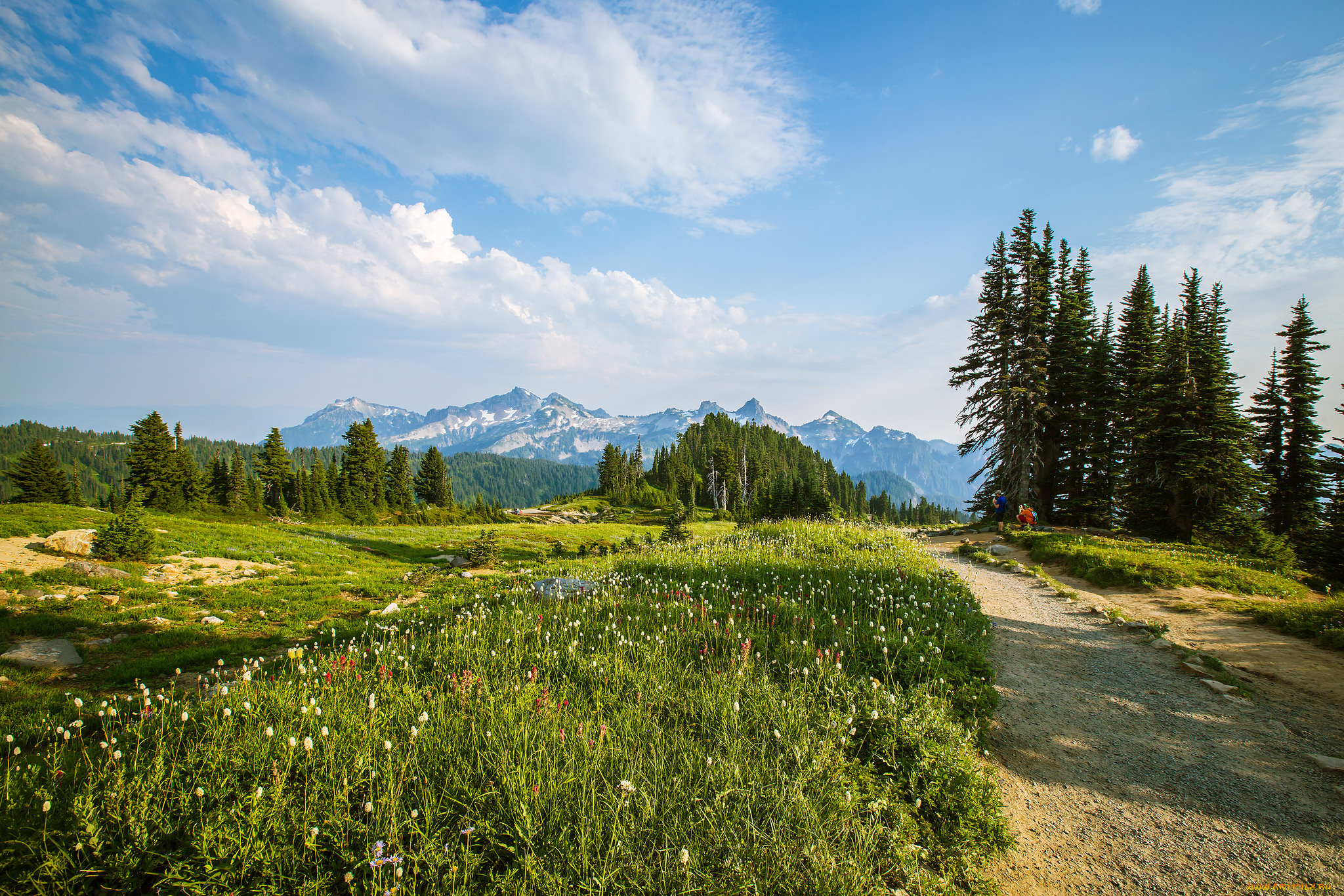 природа, дороги, дорога, лес, горы, поле