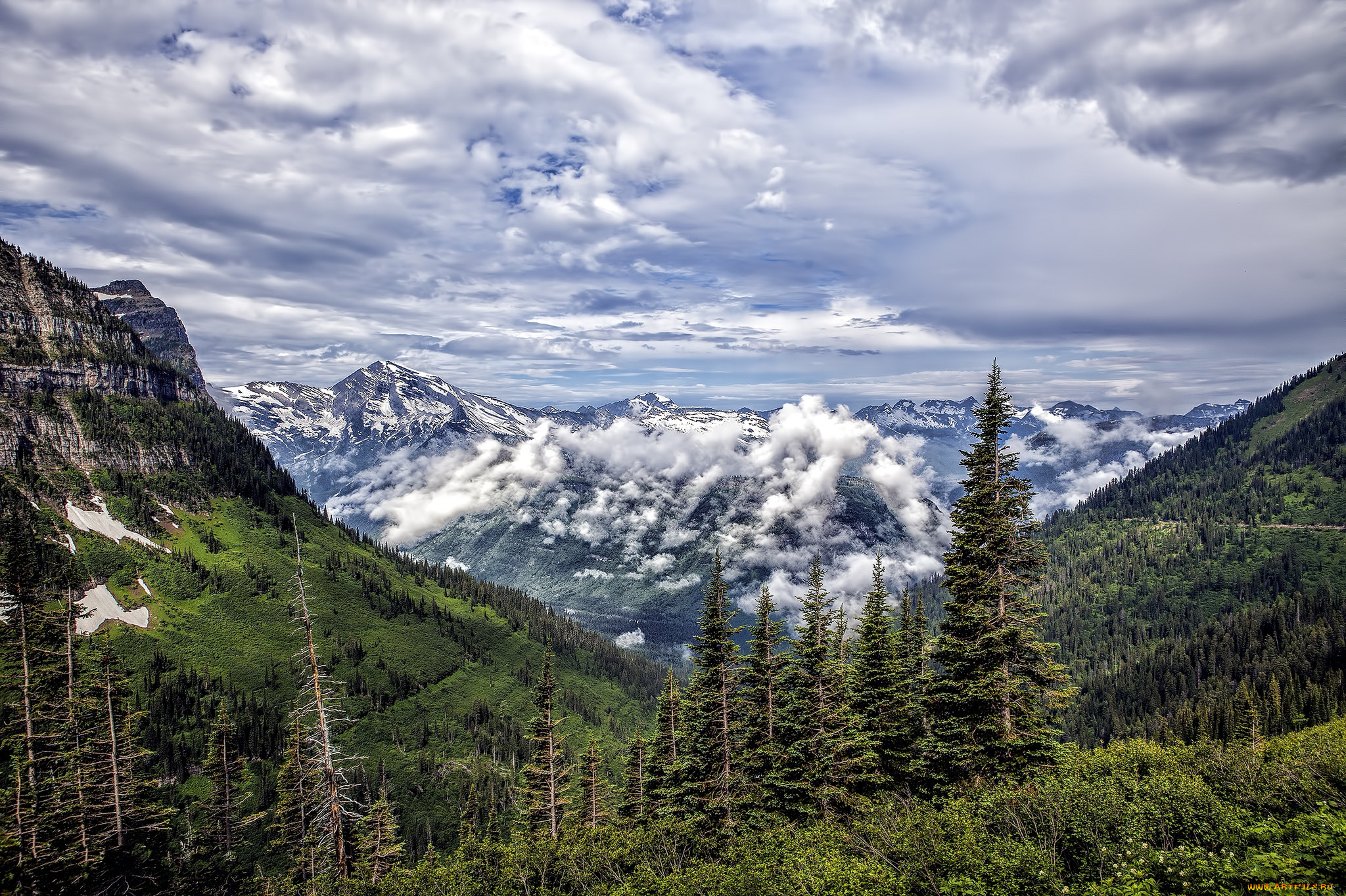 природа, горы, лес, облака