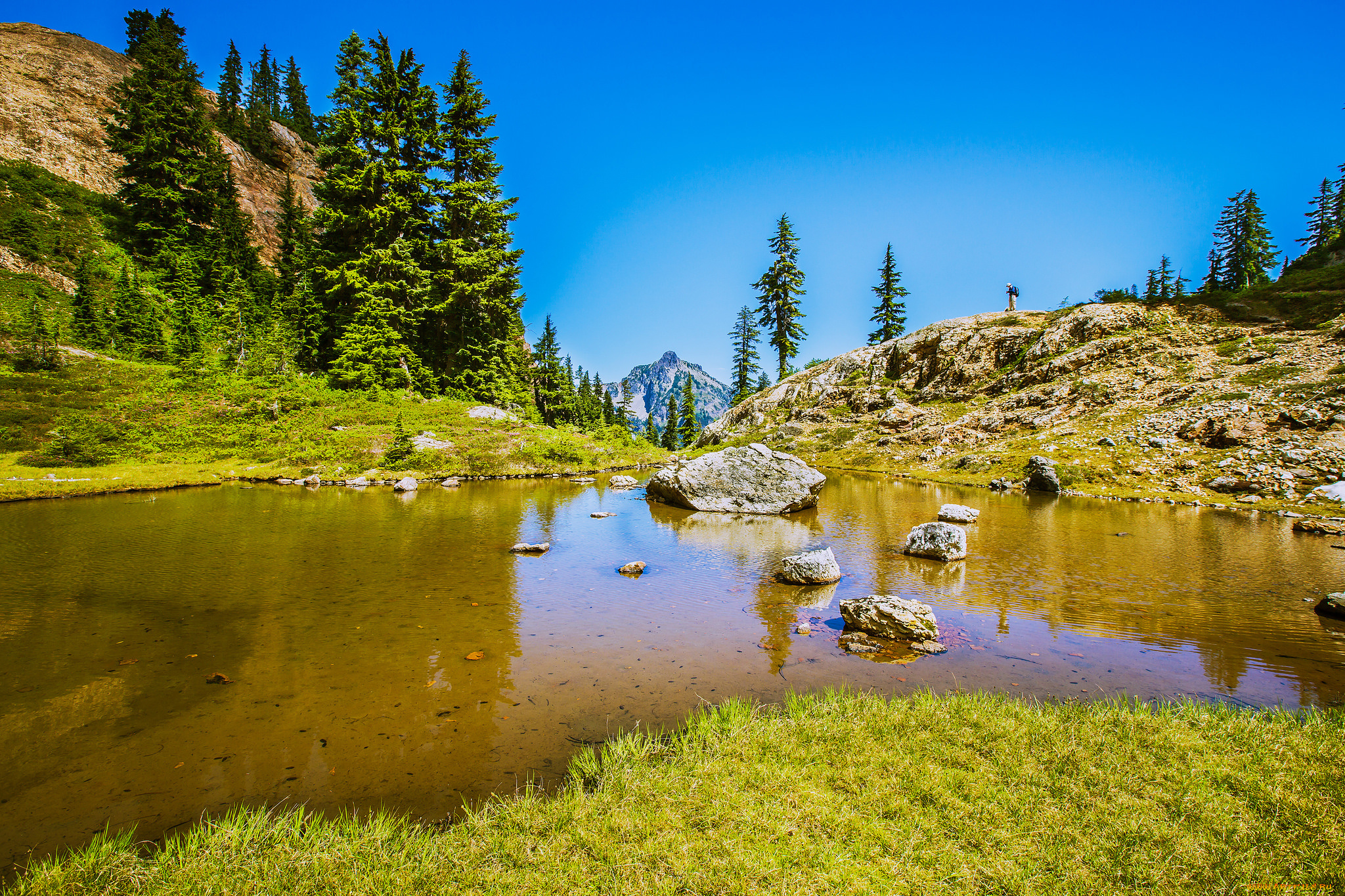 природа, реки, озера, горы, река, лес