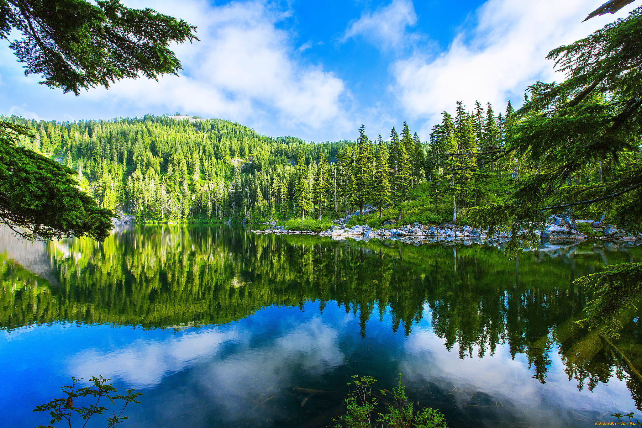 природа, реки, озера, лес, река, горы