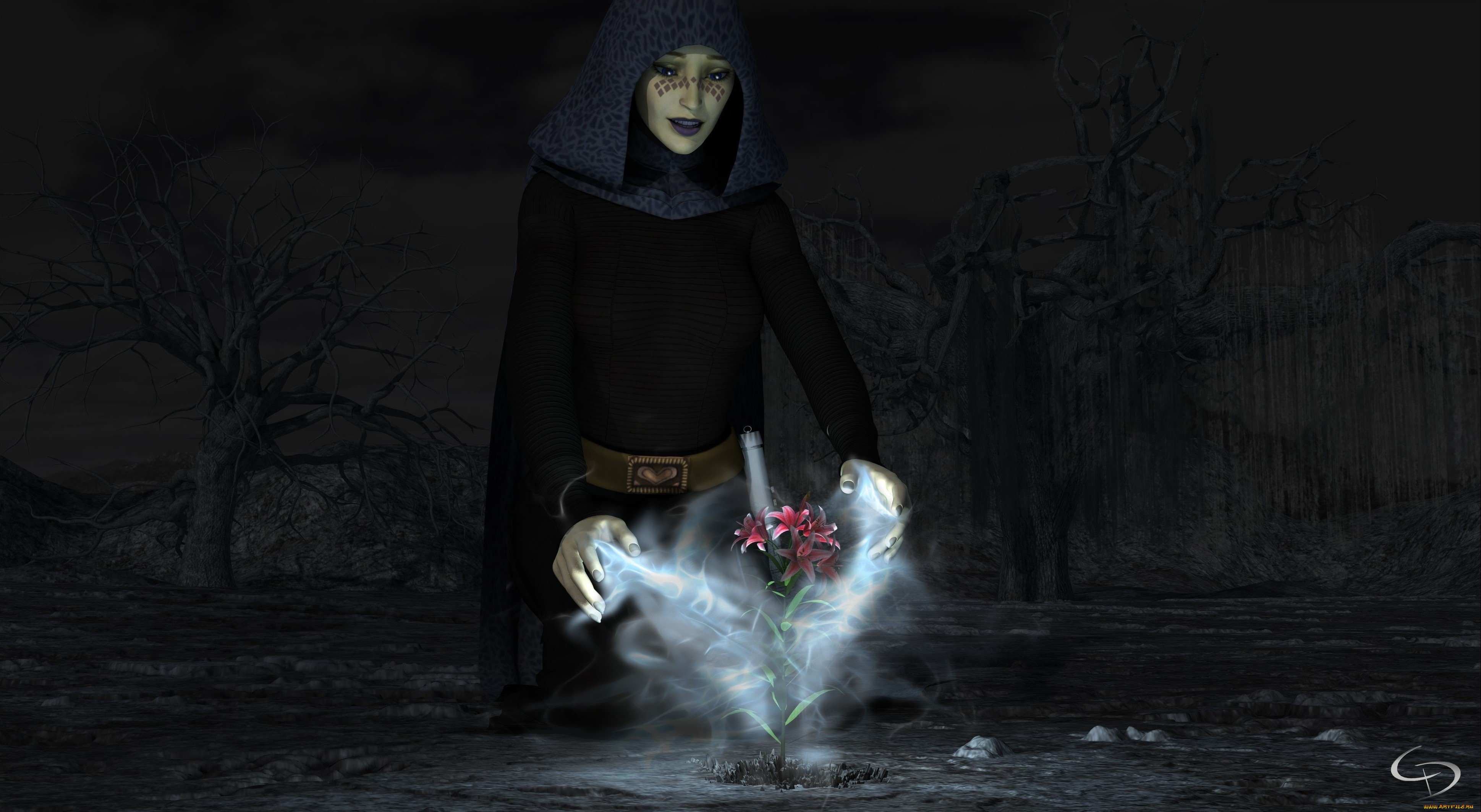 3д, графика, фантазия, , fantasy, накидка, девушка, взгляд, цветы, магия