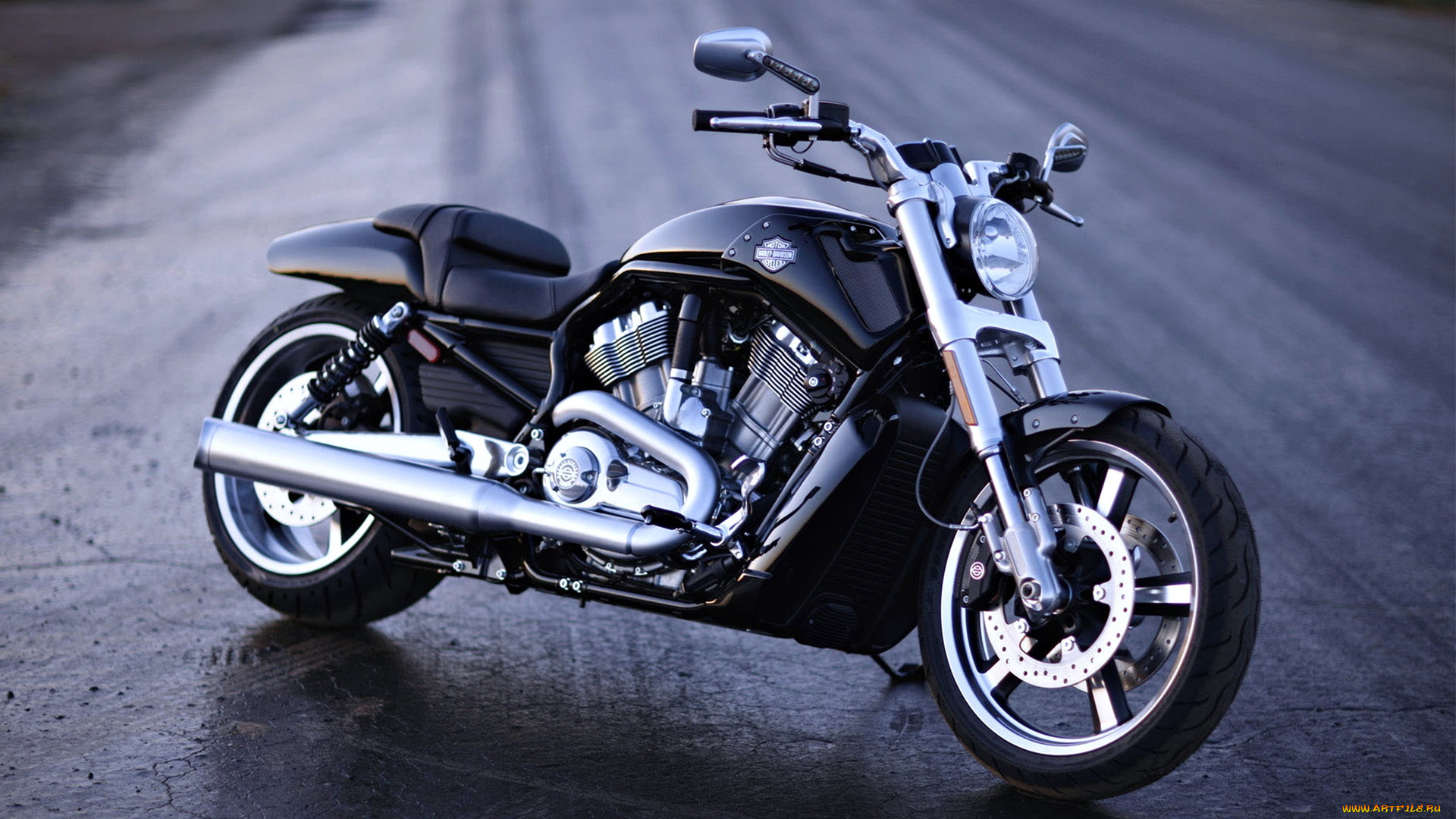 мотоциклы, harley-davidson, moto