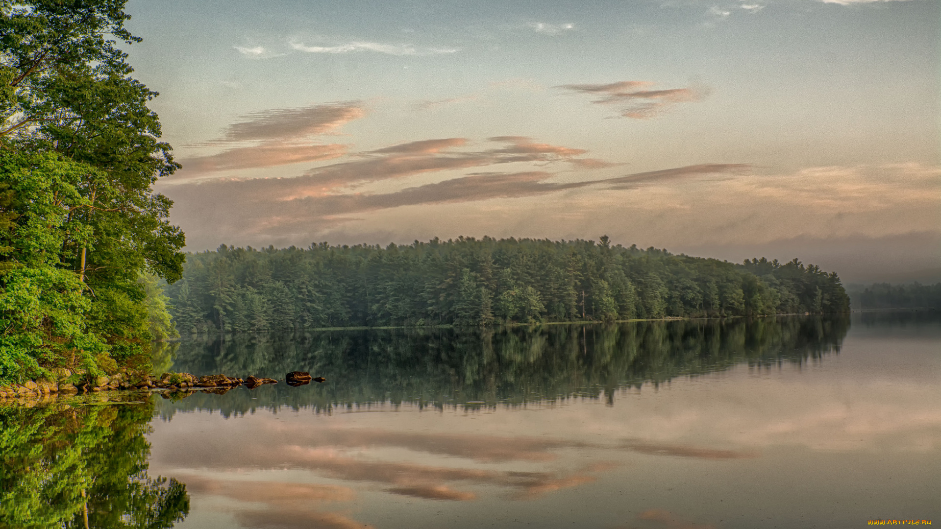 природа, реки, озера, лес, река