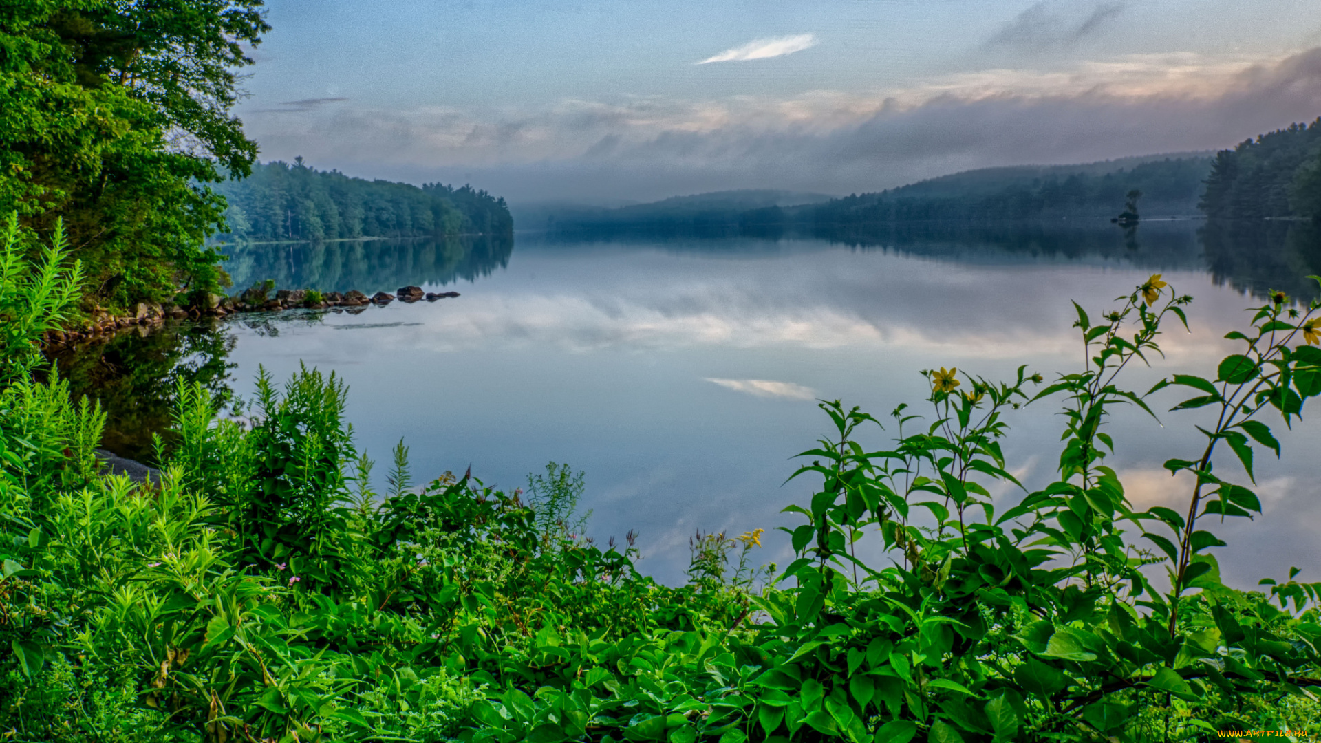 природа, реки, озера, лес, река