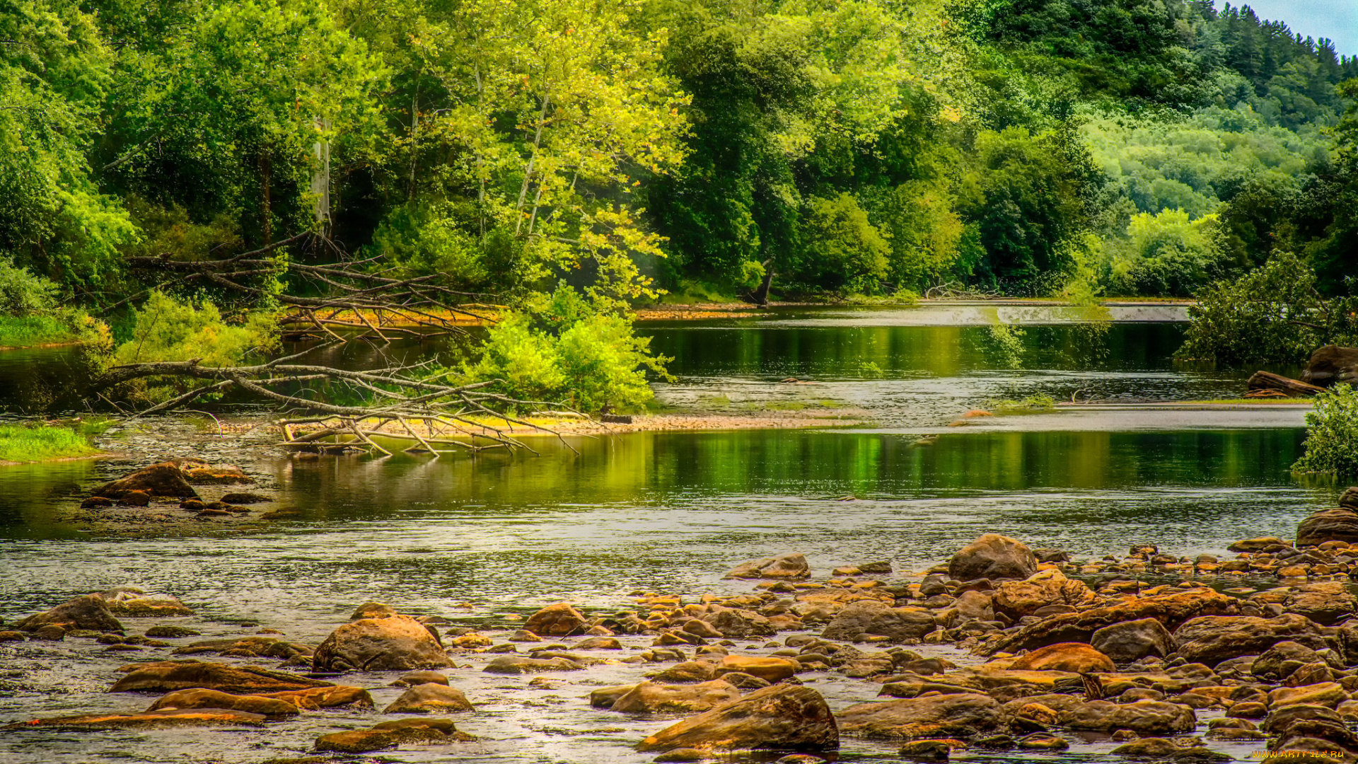 природа, реки, озера, лес, река