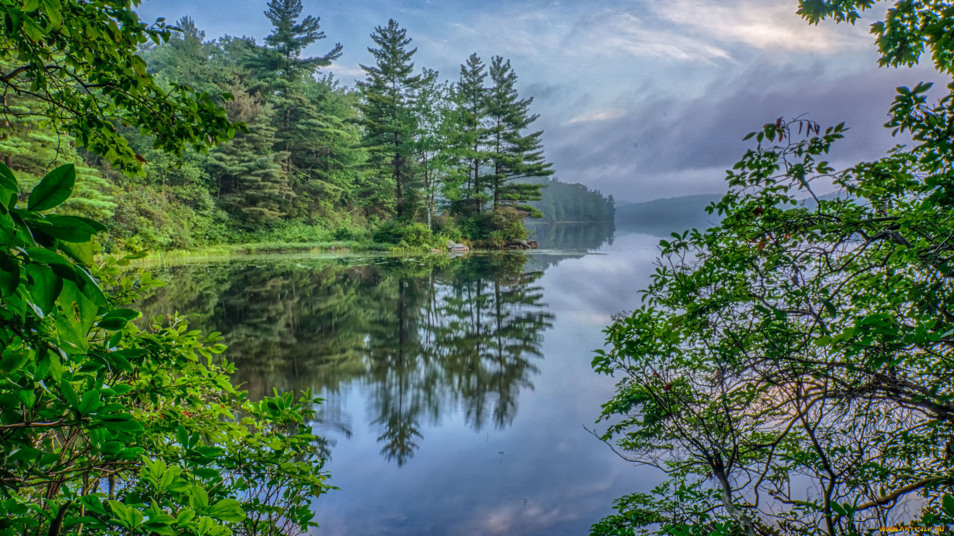 природа, реки, озера, река, лес