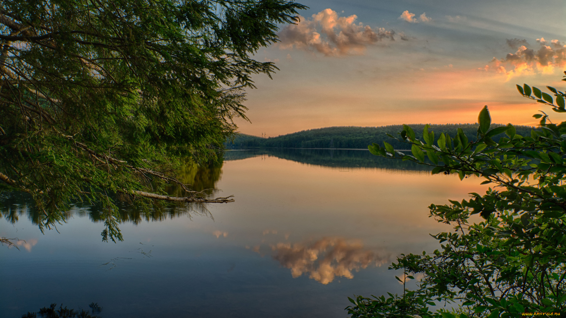 природа, реки, озера, река, лес