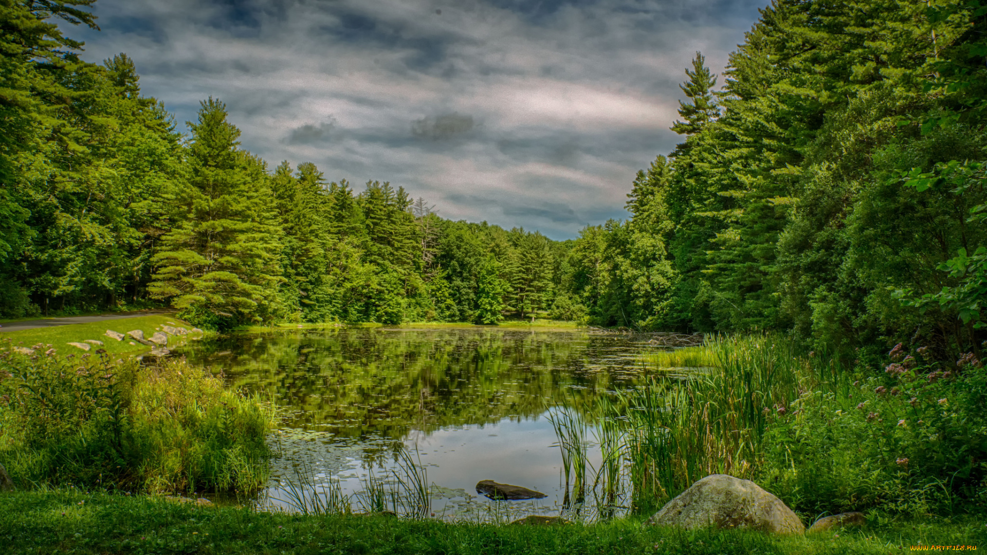 природа, реки, озера, река, лес