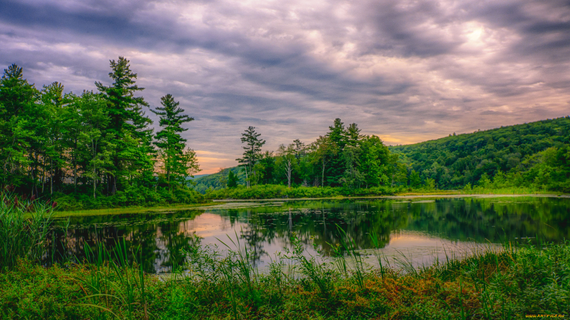 природа, реки, озера, река, лес